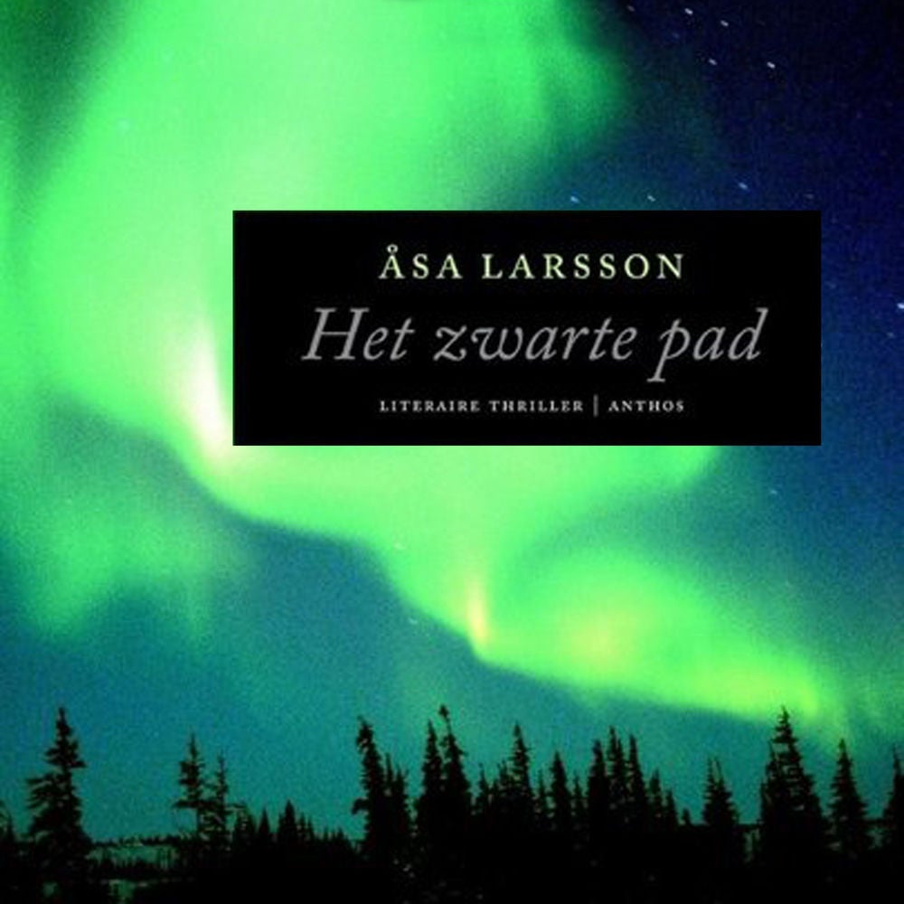 Het zwarte pad