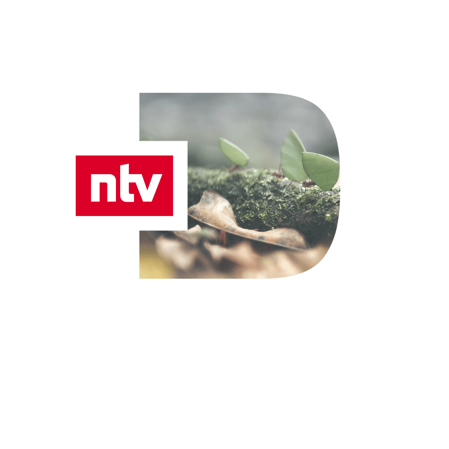 ntv Dokumentation