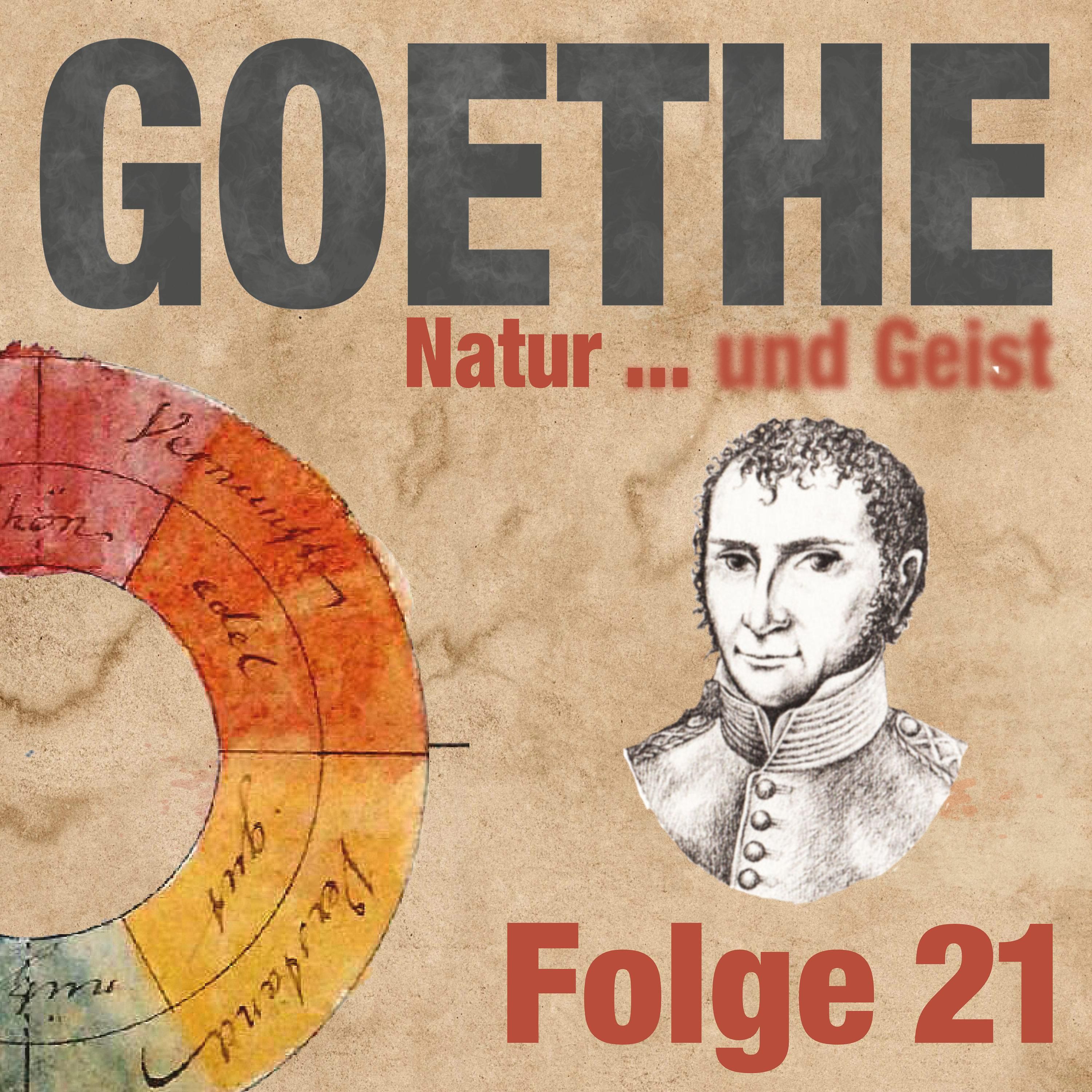 Goethe und der Mann, der das Ultraviolett entdeckte