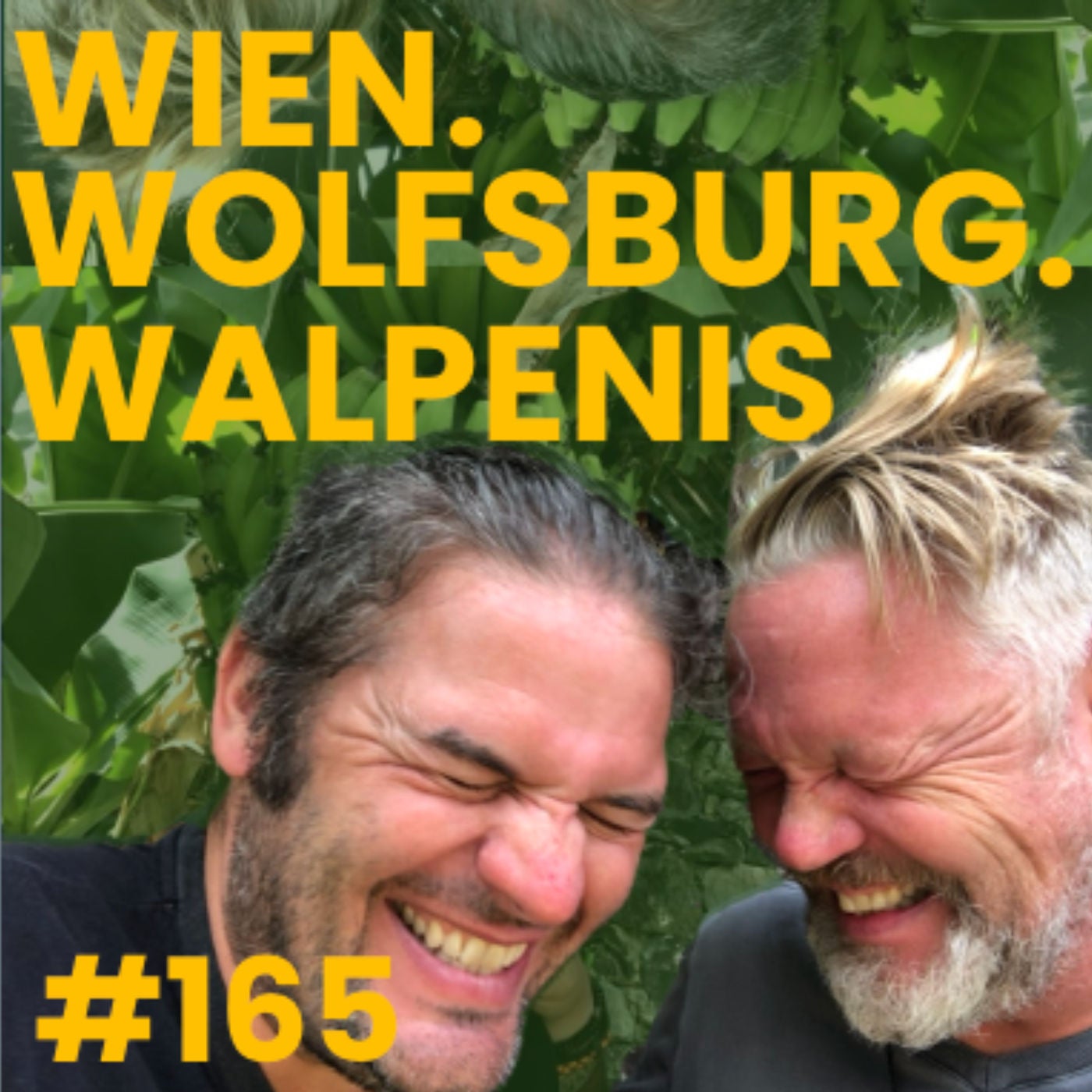 #165 Wien. Wolfsburg. Walpenis.