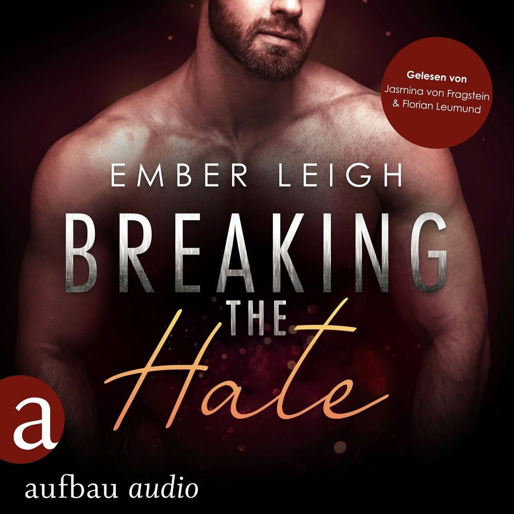 Breaking the Hate - Novella - Breaking Serie, Band 6