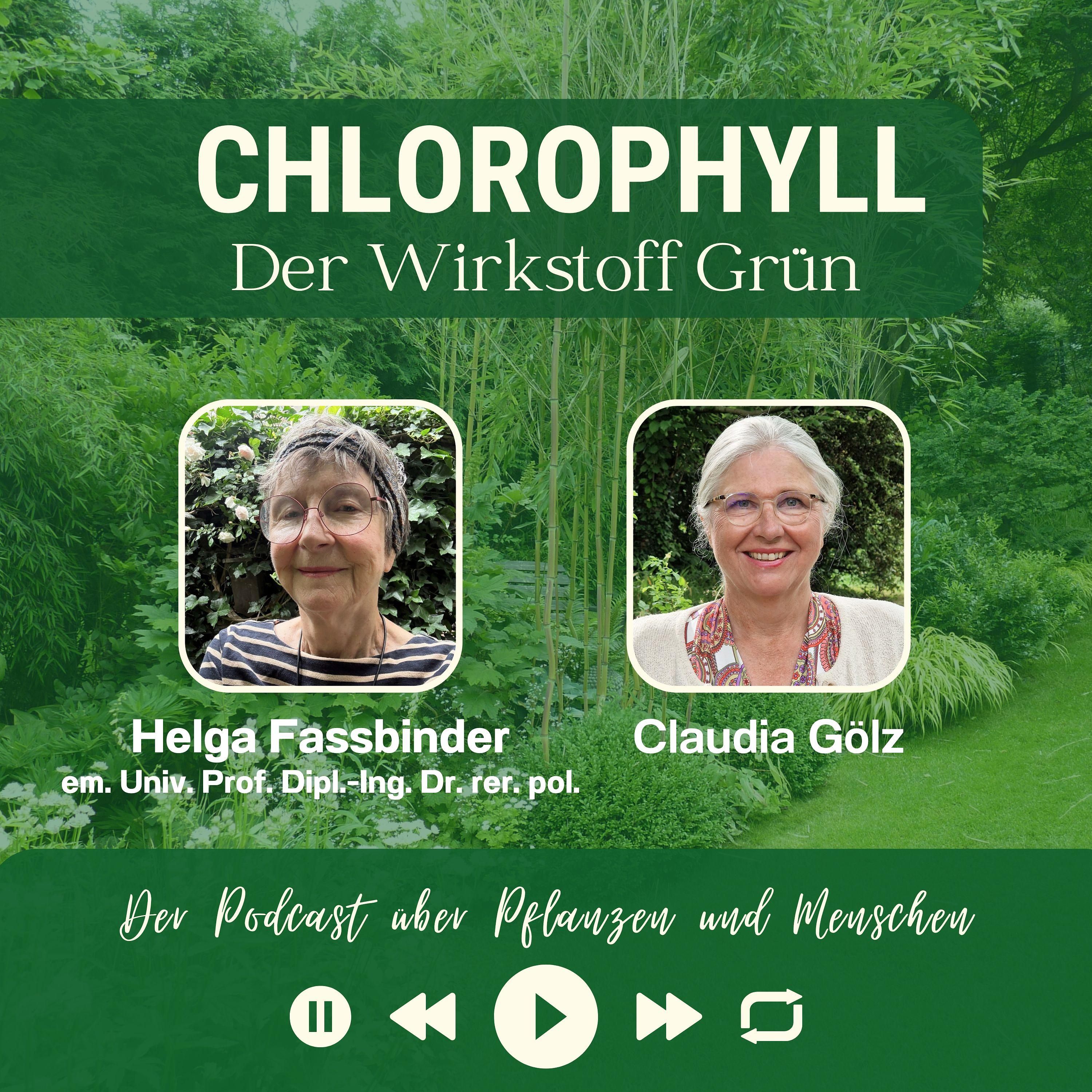 #58 - Em. Univ. Prof. Dipl.-Ing. Dr. rer. pol. Helga Fassbinder