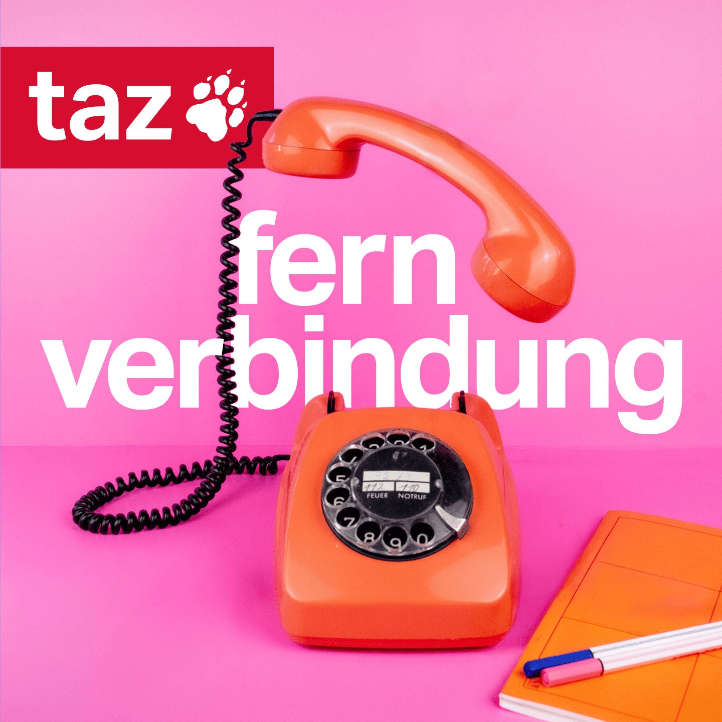 Fernverbindung - Der Auslands-Podcast der taz