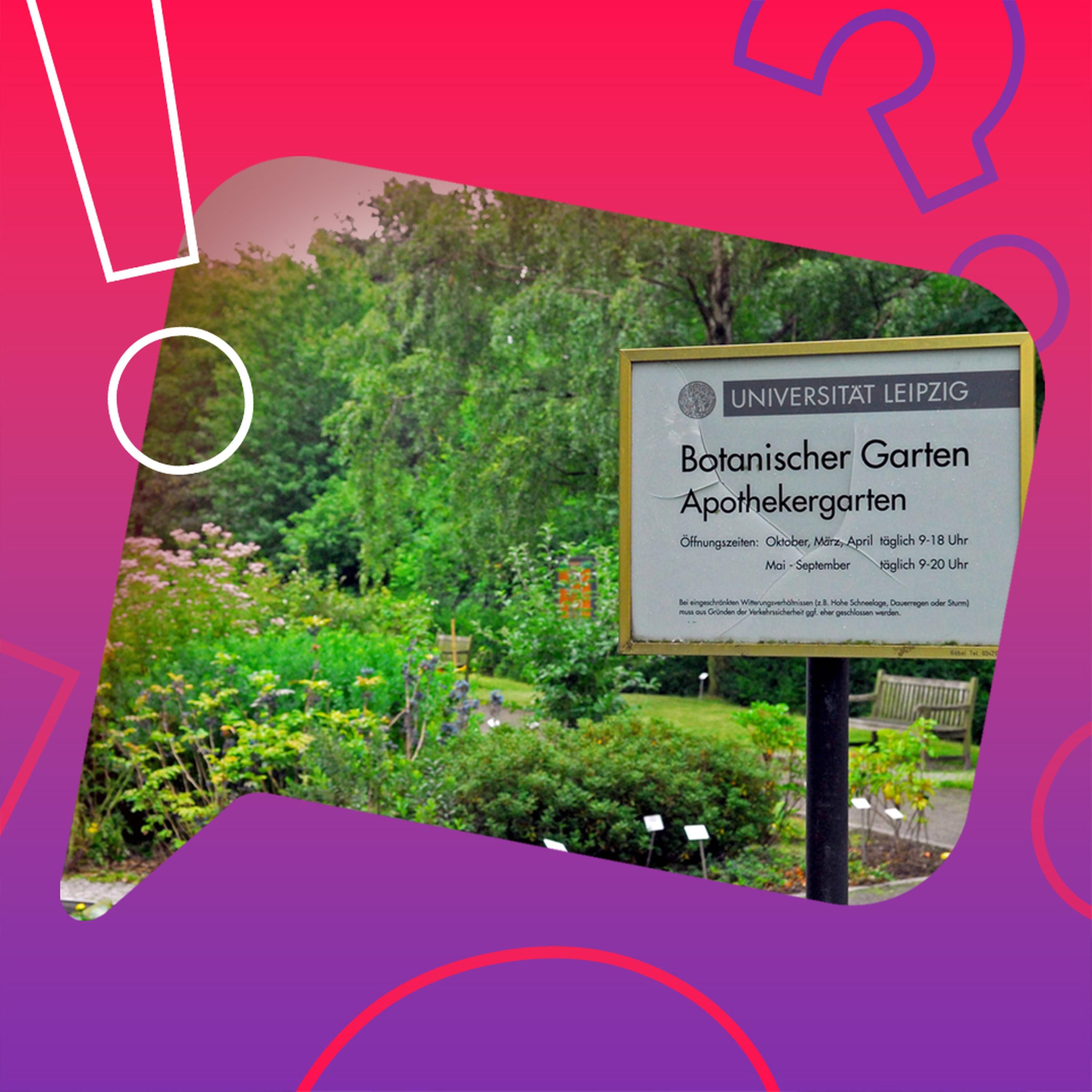 Ist der botanische Garten Leipzig der älteste der Welt?