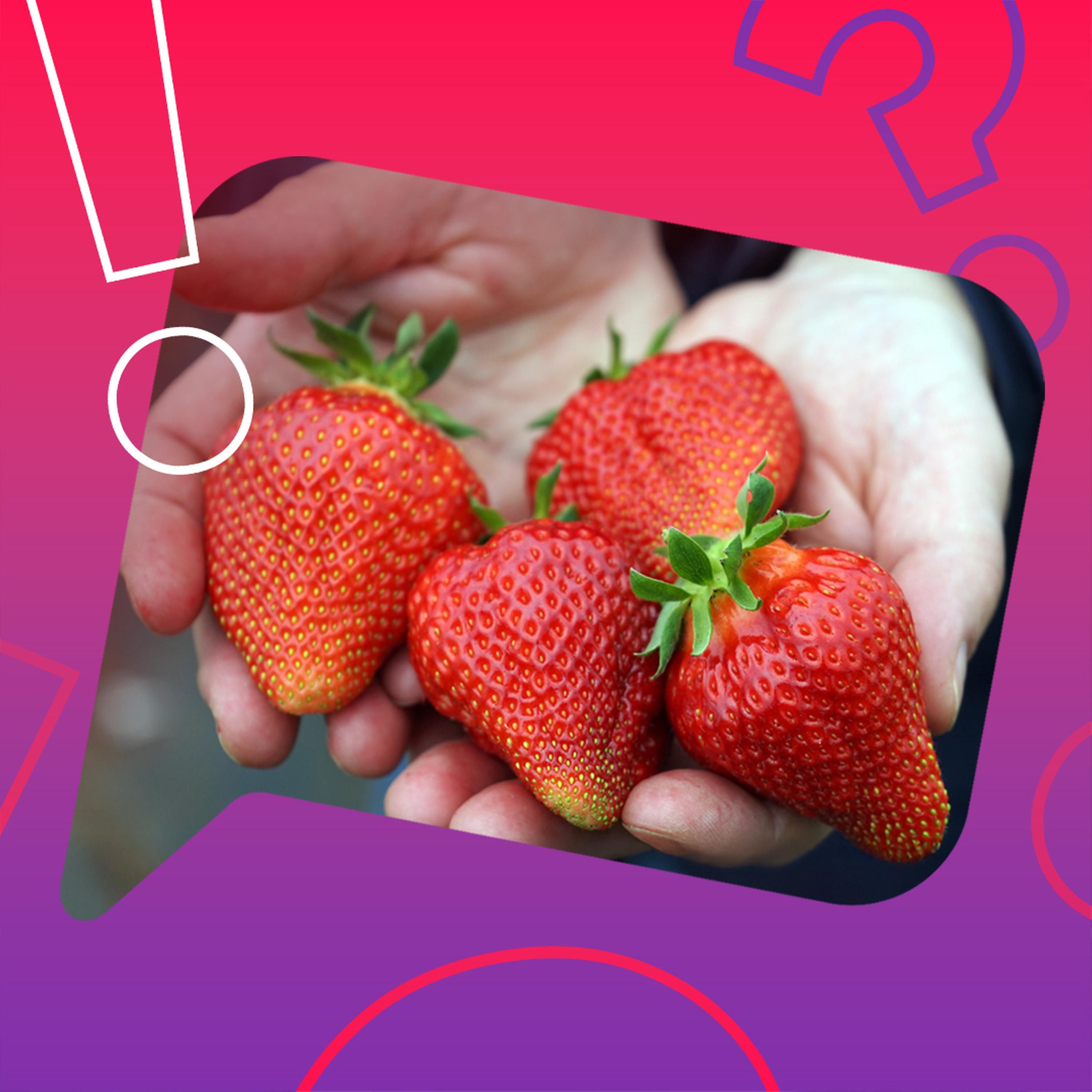 Sind Erdbeeren keine Beeren?