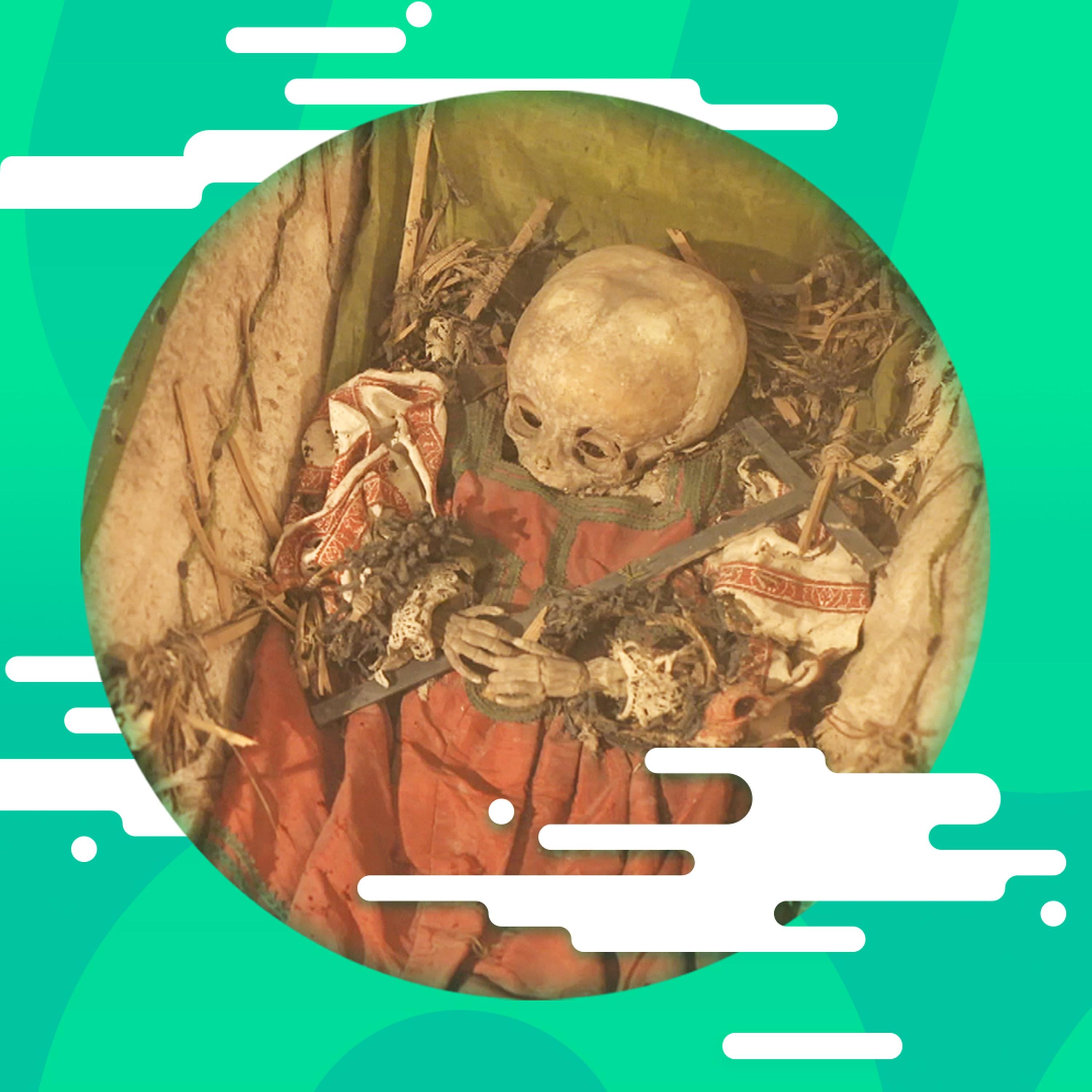 Die Mumien von Riesa