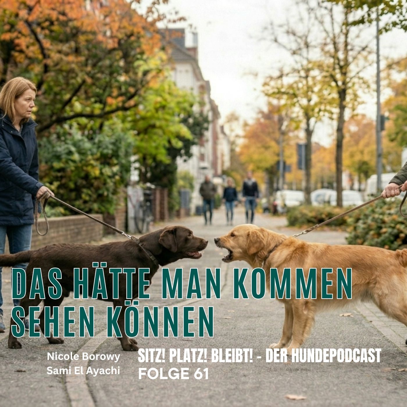 #61 Das hätte man kommen sehen können