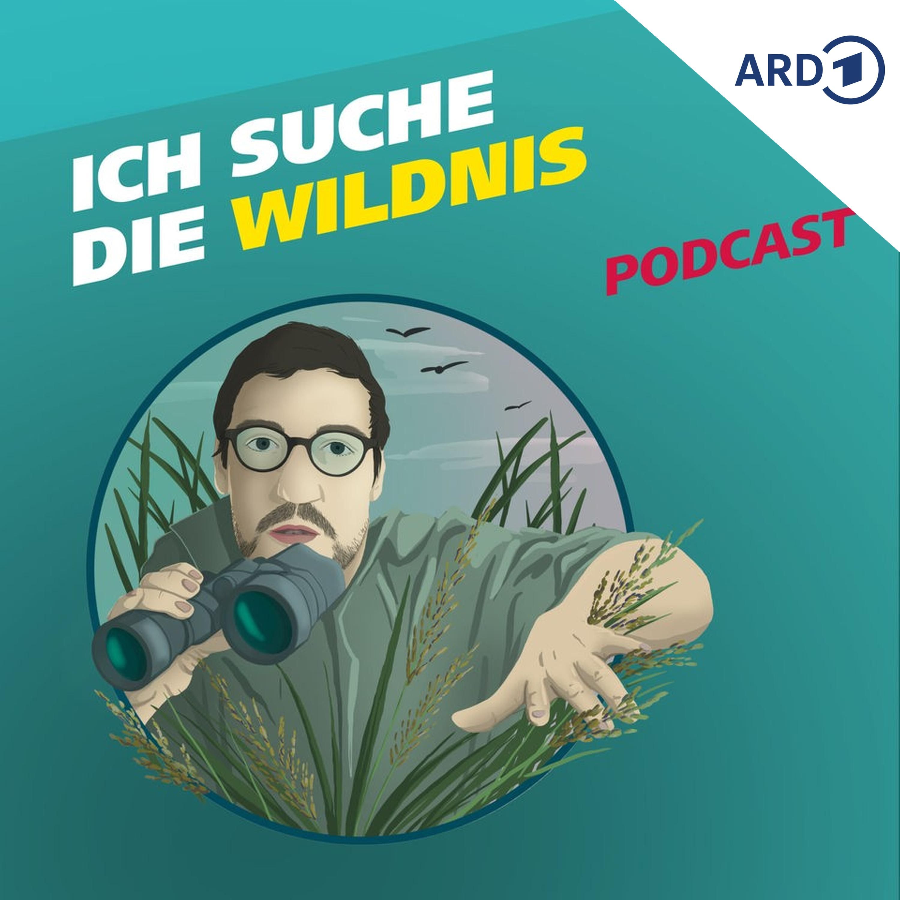 Ich suche die Wildnis
