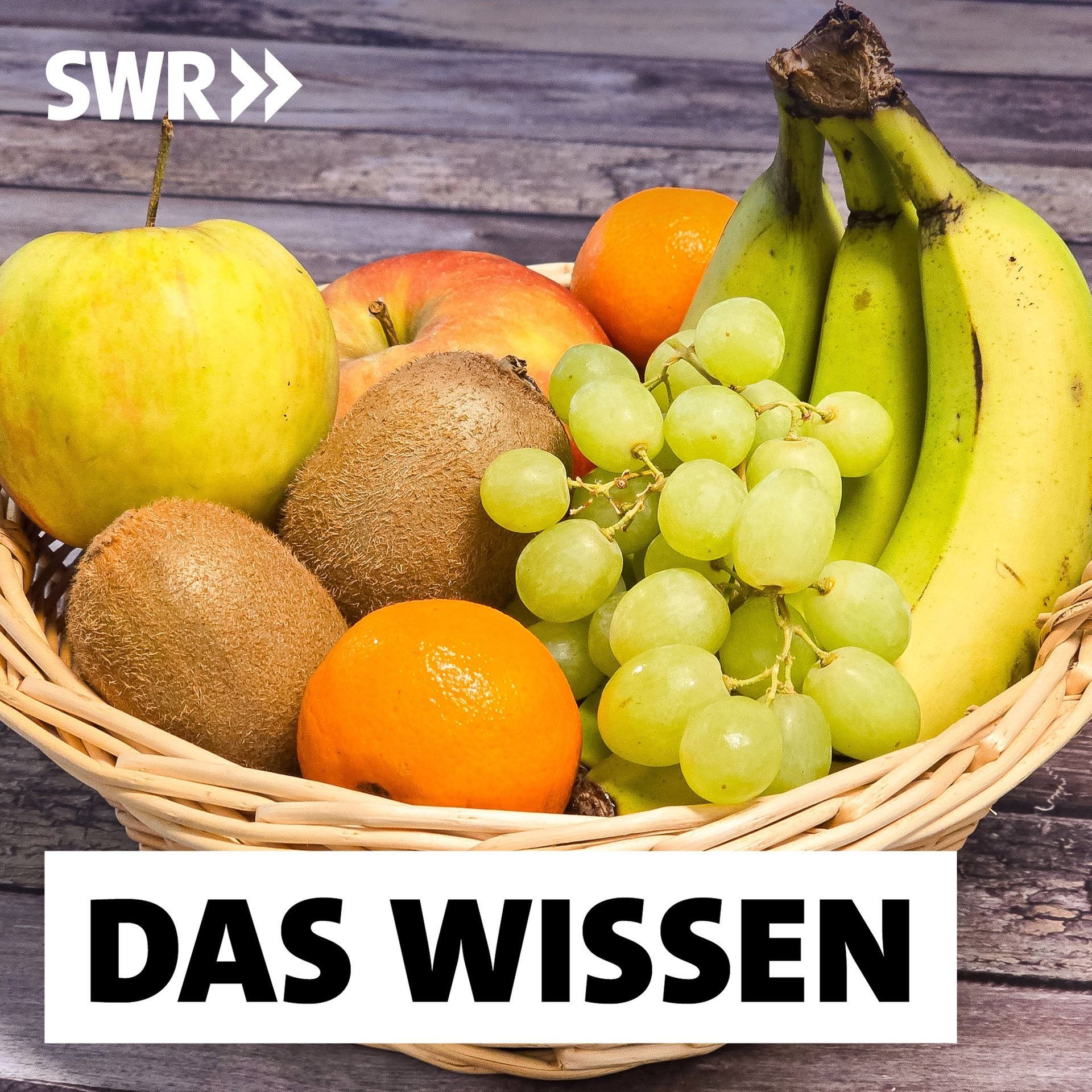 Obst am Abend? – Warum gesunde Ernährung eine Frage des TImings ist