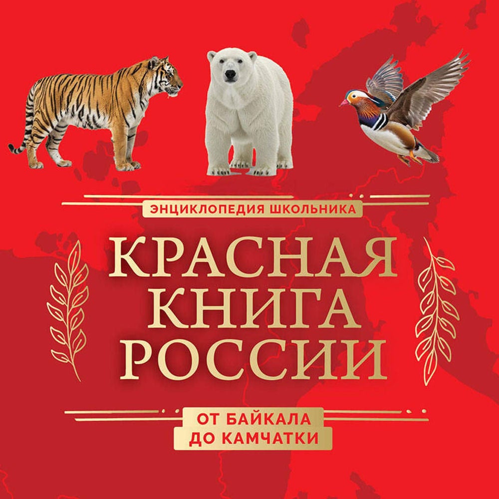 Красная книга России. От Байкала до Камчатки