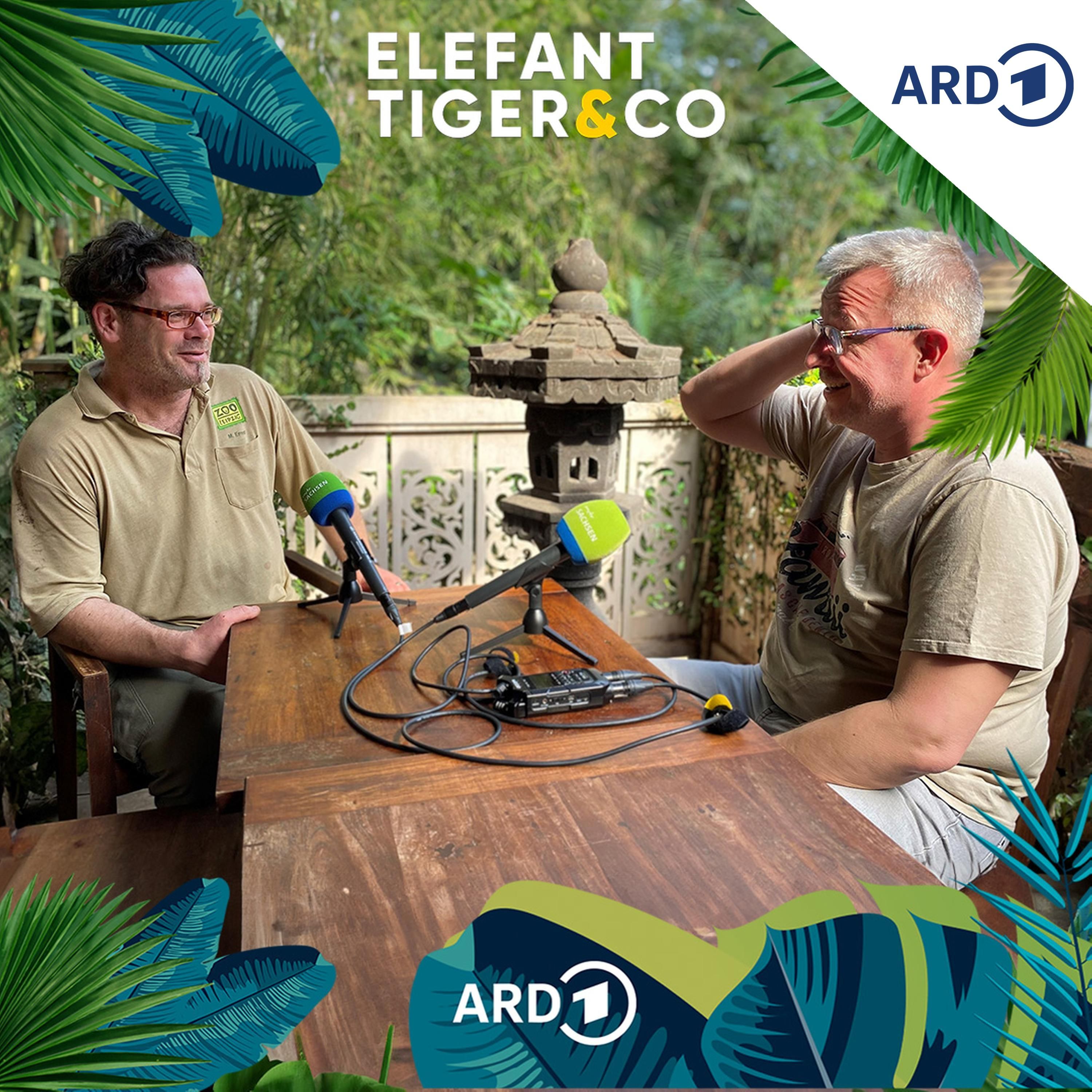 ETC-Classics - mit Bereichsleiter Michael Ernst vom Gondwanaland