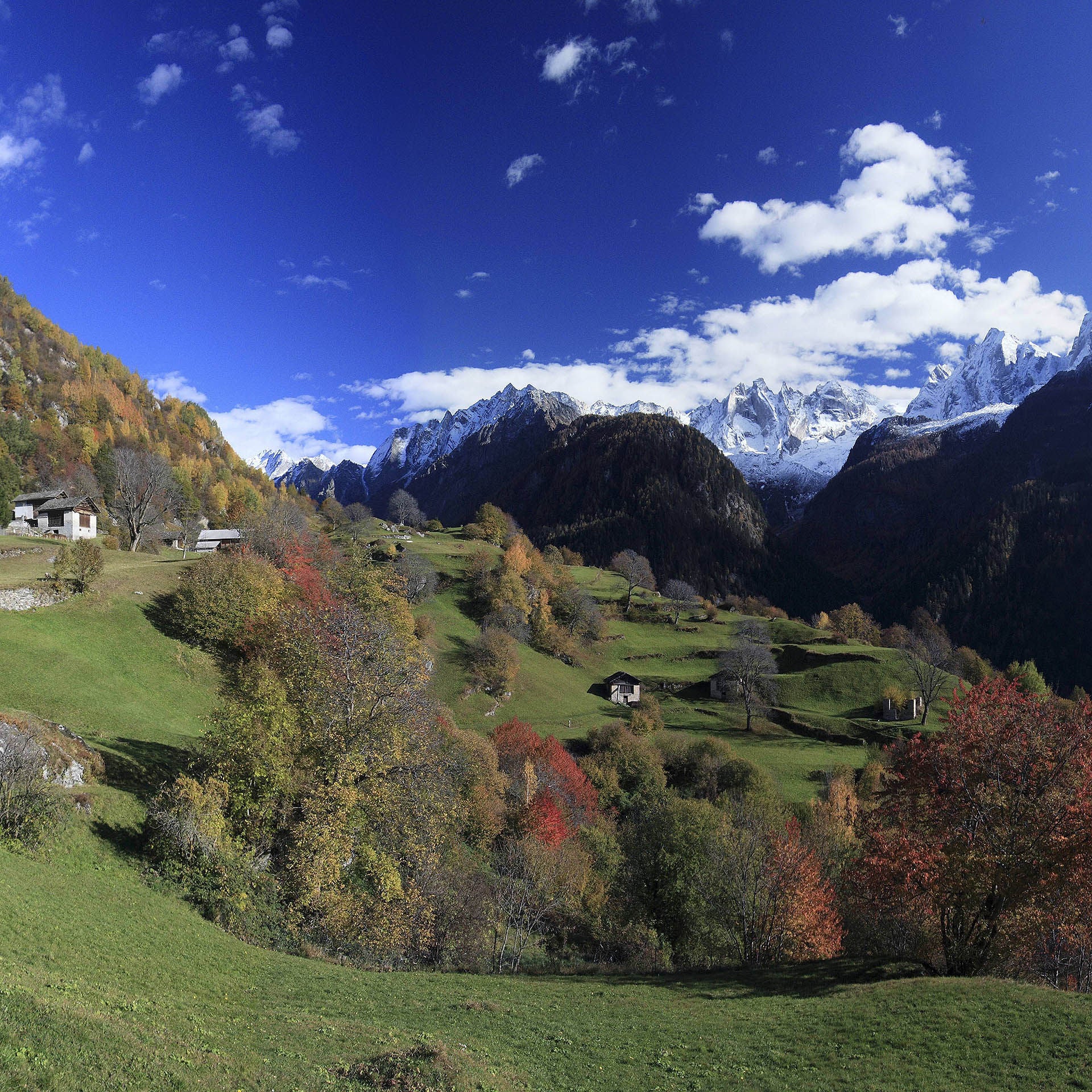 Bäuerliches Leben in den Alpen - Von Braunvieh, Ziegenmist und Bergkartoffeln