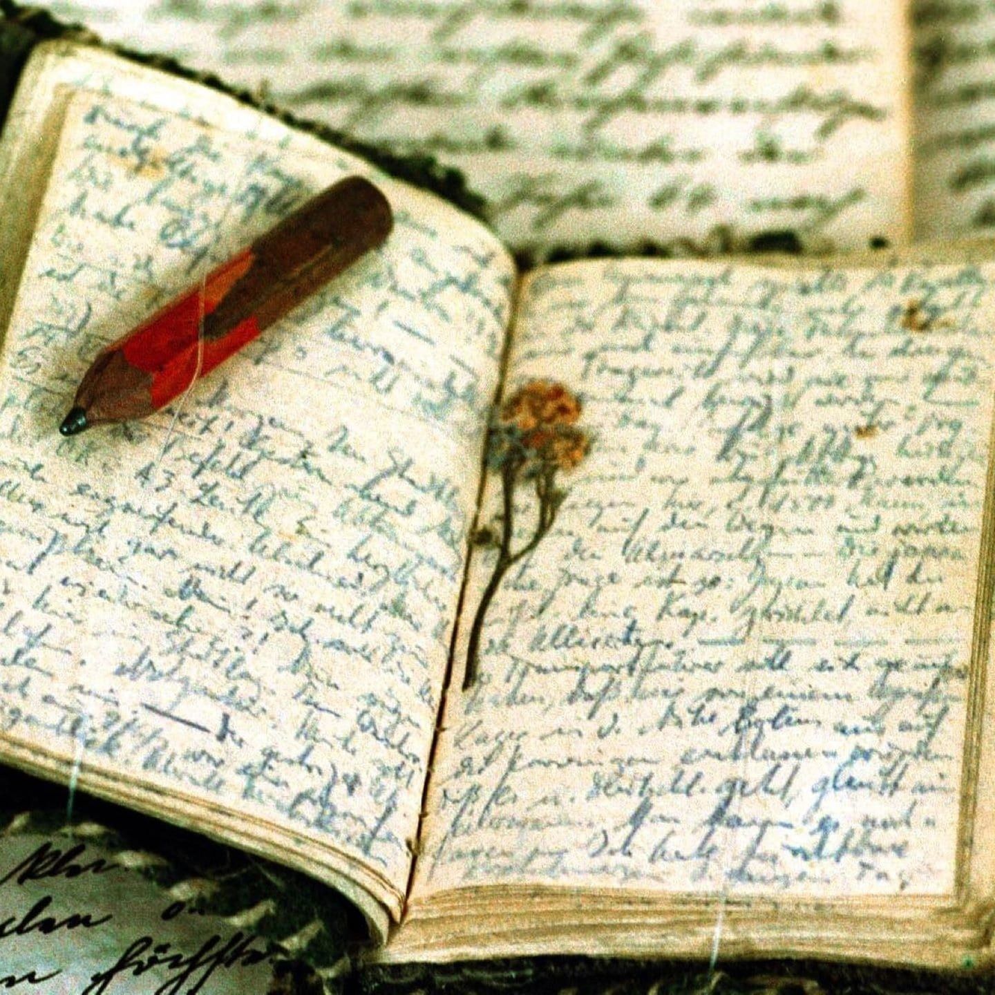 Das Tagebuch – eine ganz persönliche Chronik