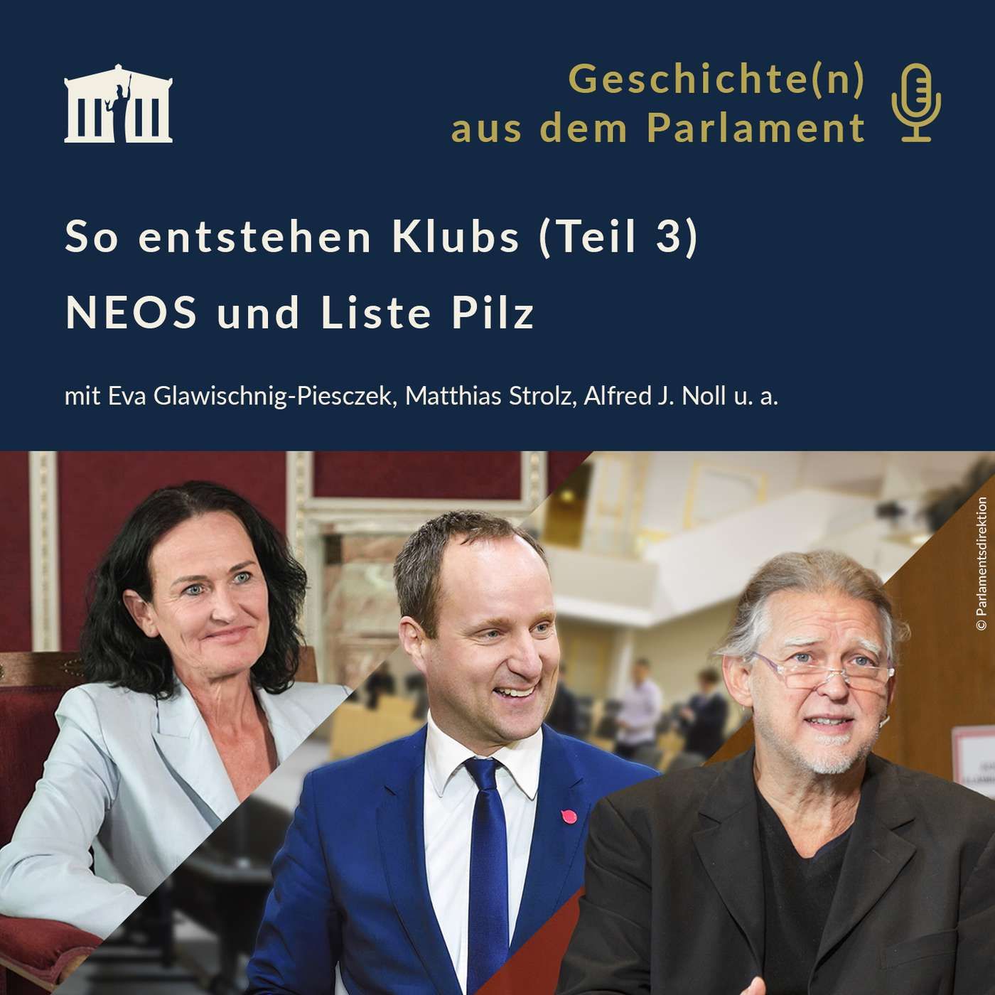 So entstehen Klubs (Teil 3): NEOS und Liste Pilz