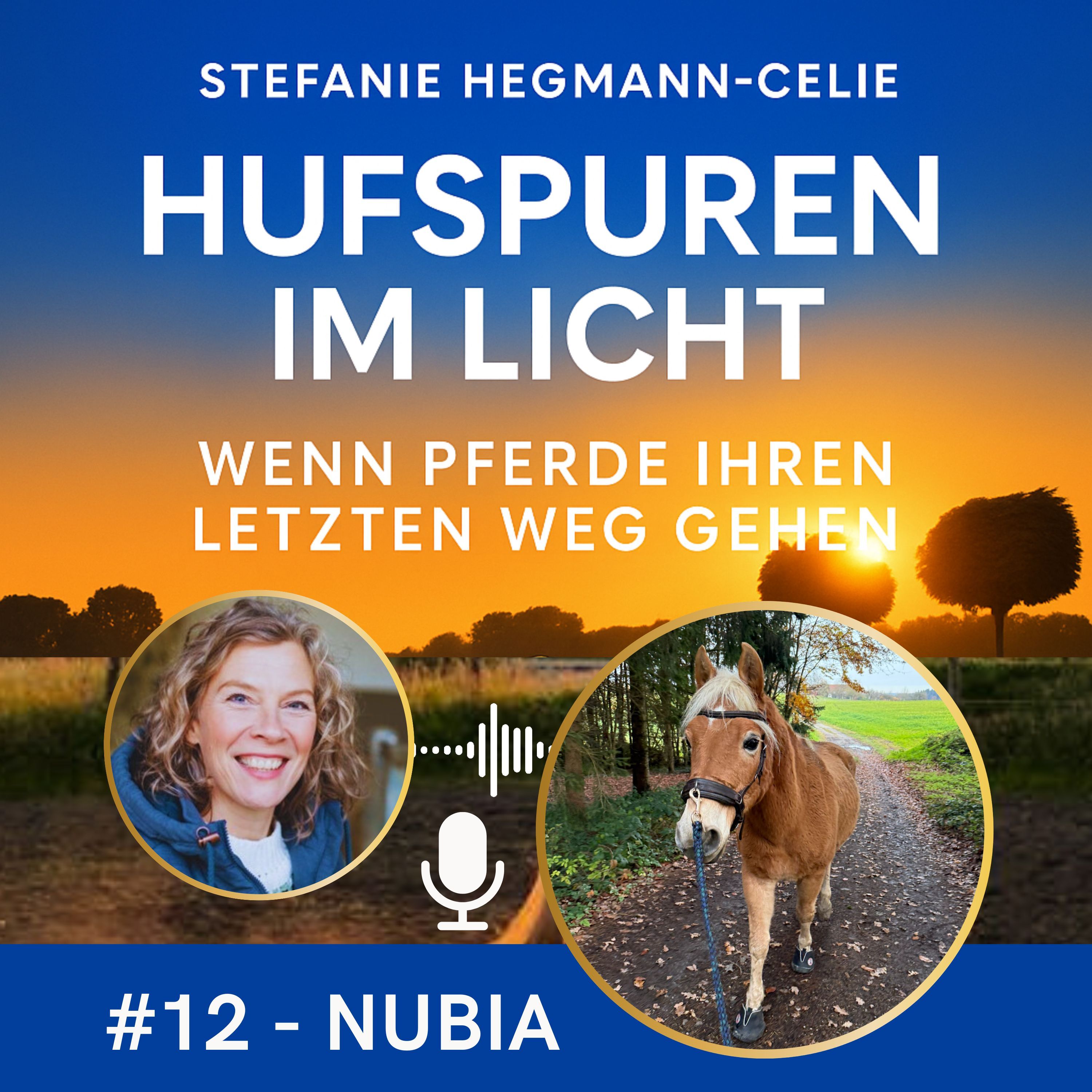 #12 - Nubia: Ein Goldstück I Die besondere Wirkung von Pferden in der Trauerbegleitung für Menschen I Kolik