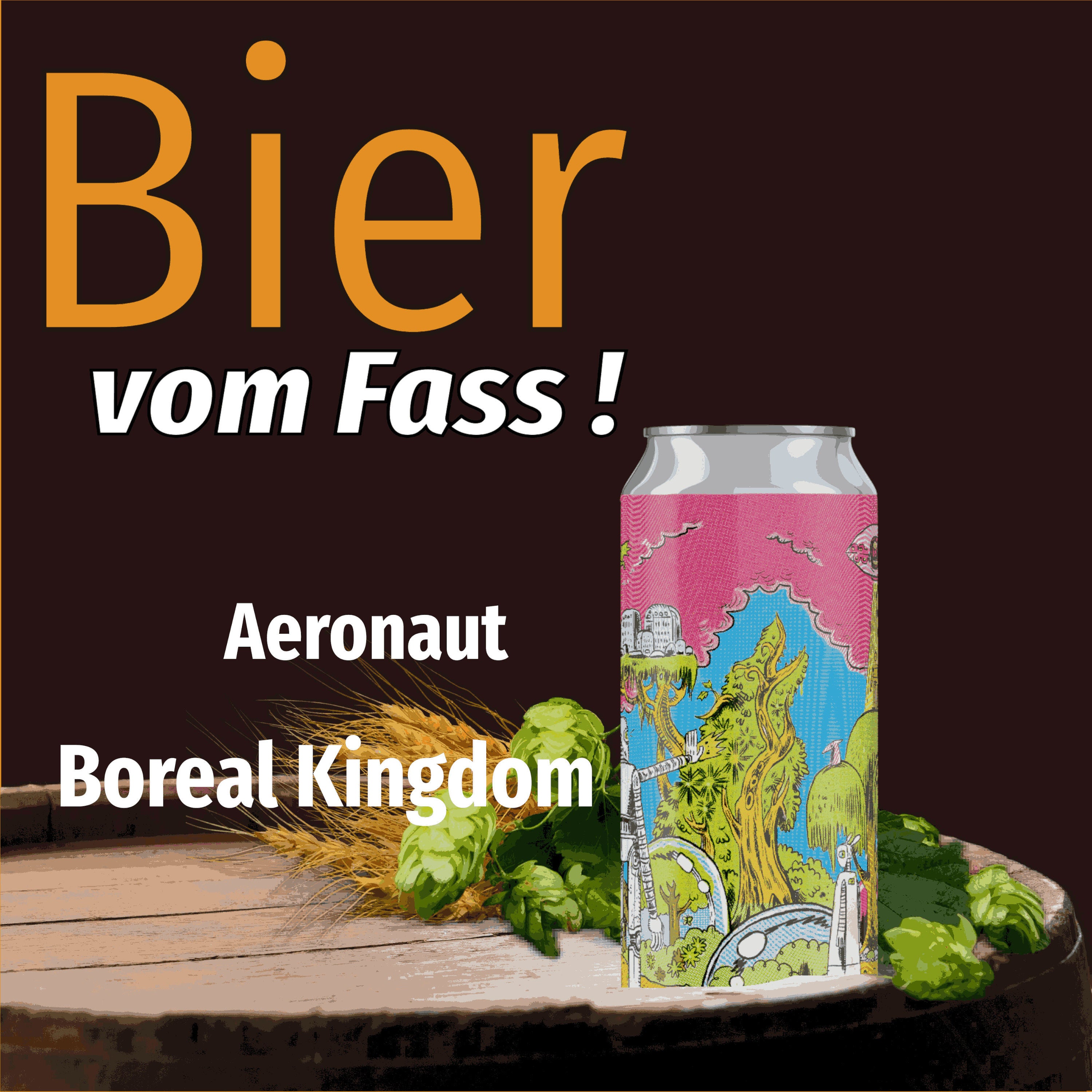 BvF110 Aeronaut Boreal Kingdom