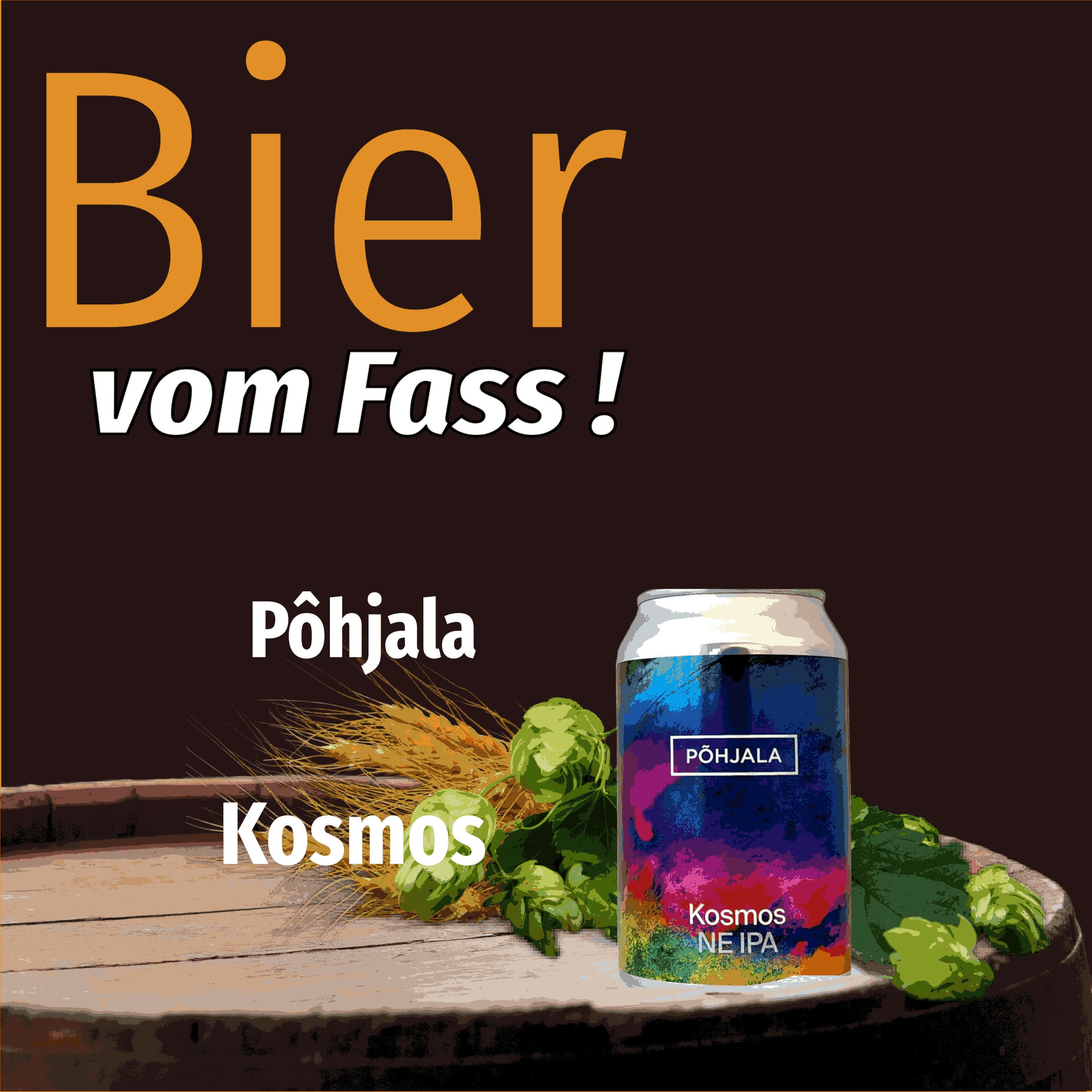 BvF112 Pôhjala Kosmos
