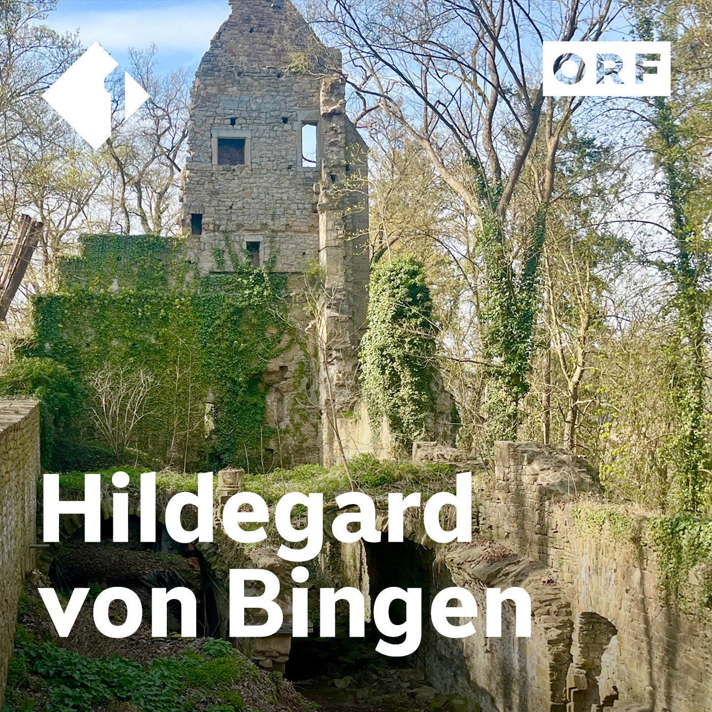 Hildegard von Bingen Spurensuche