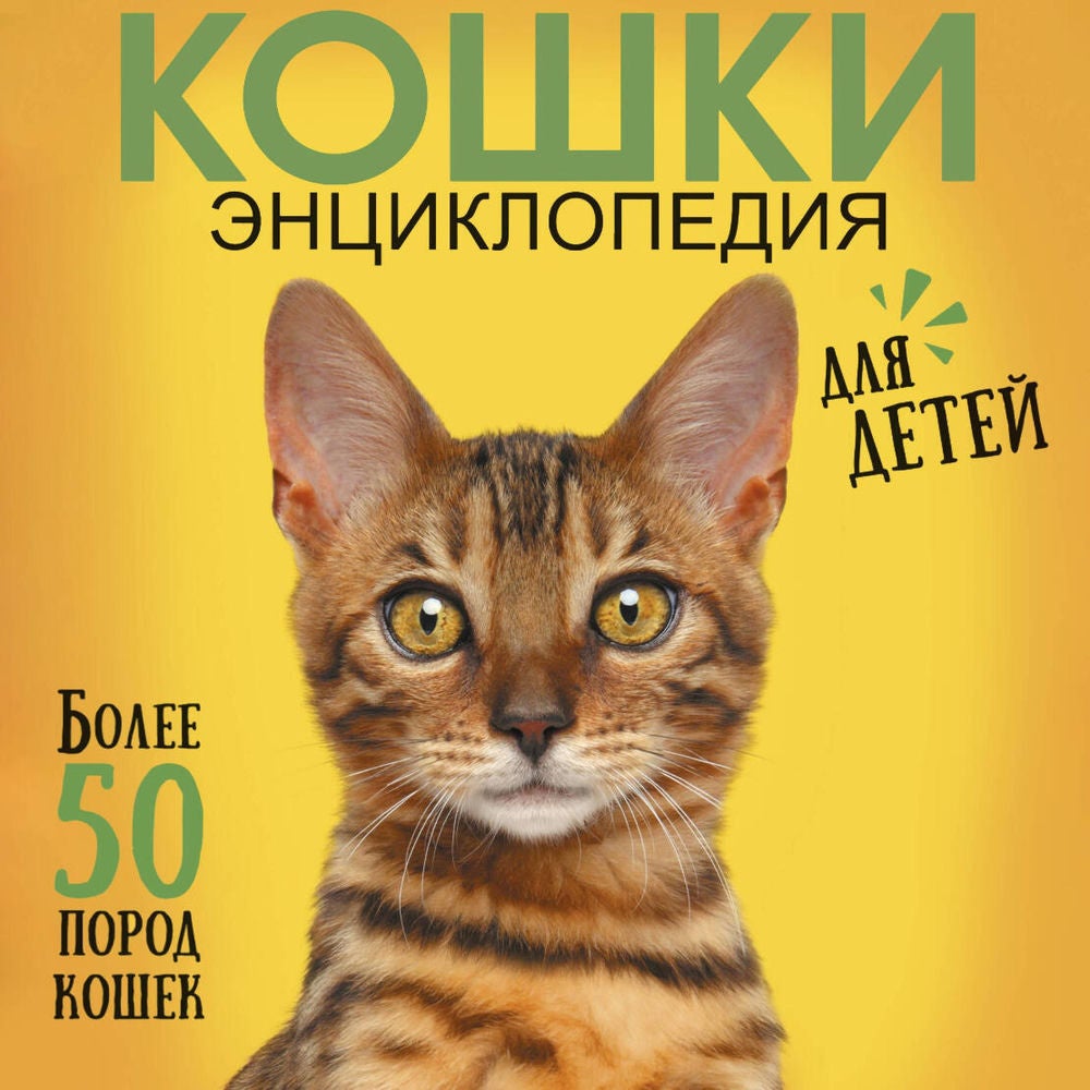 Кошки