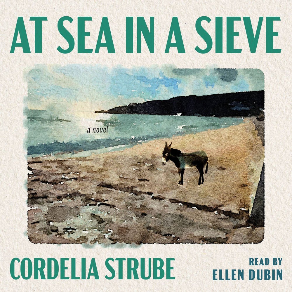 At Sea in a Sieve - A Novel