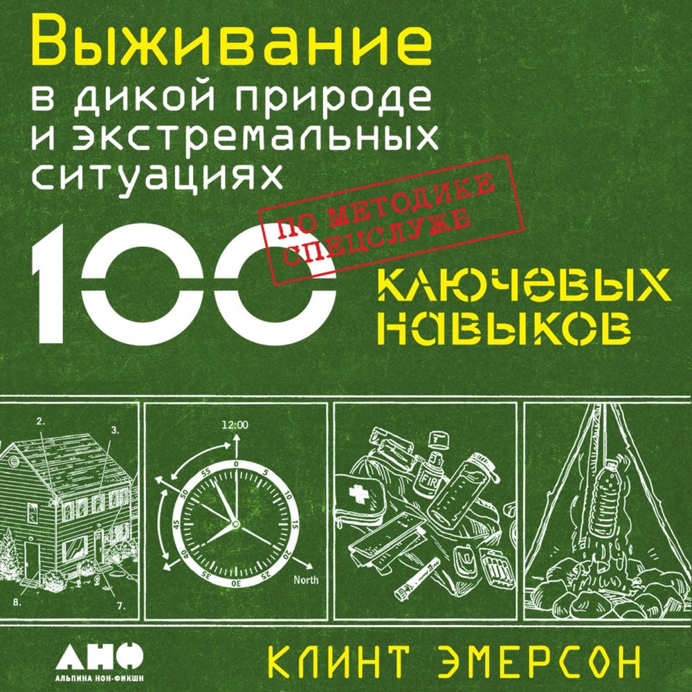 Выживание в дикой природе и экстремальных ситуациях по методике спецслужб. 100 ключевых навыков