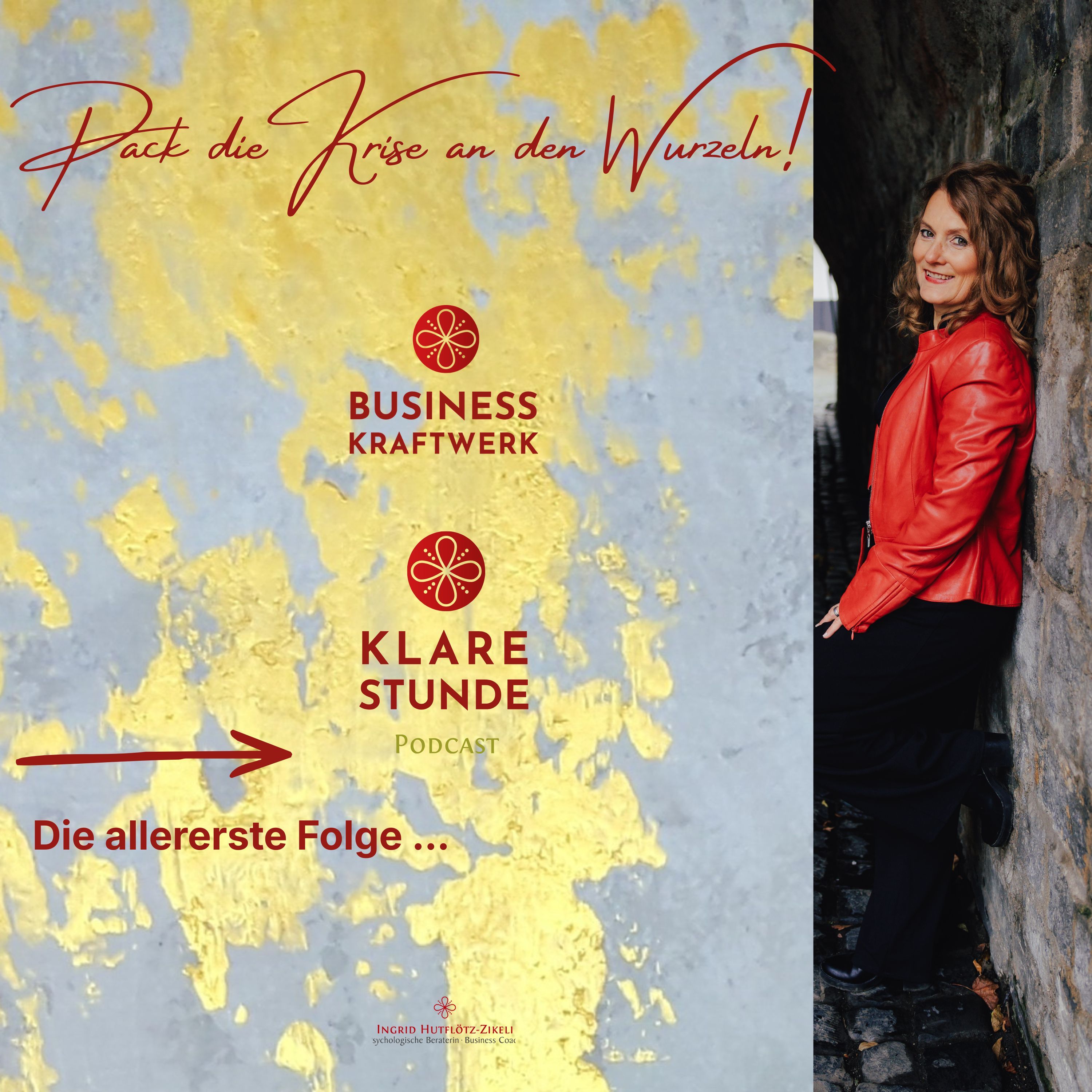 1. Folge: Pack die Krise an den Wurzeln