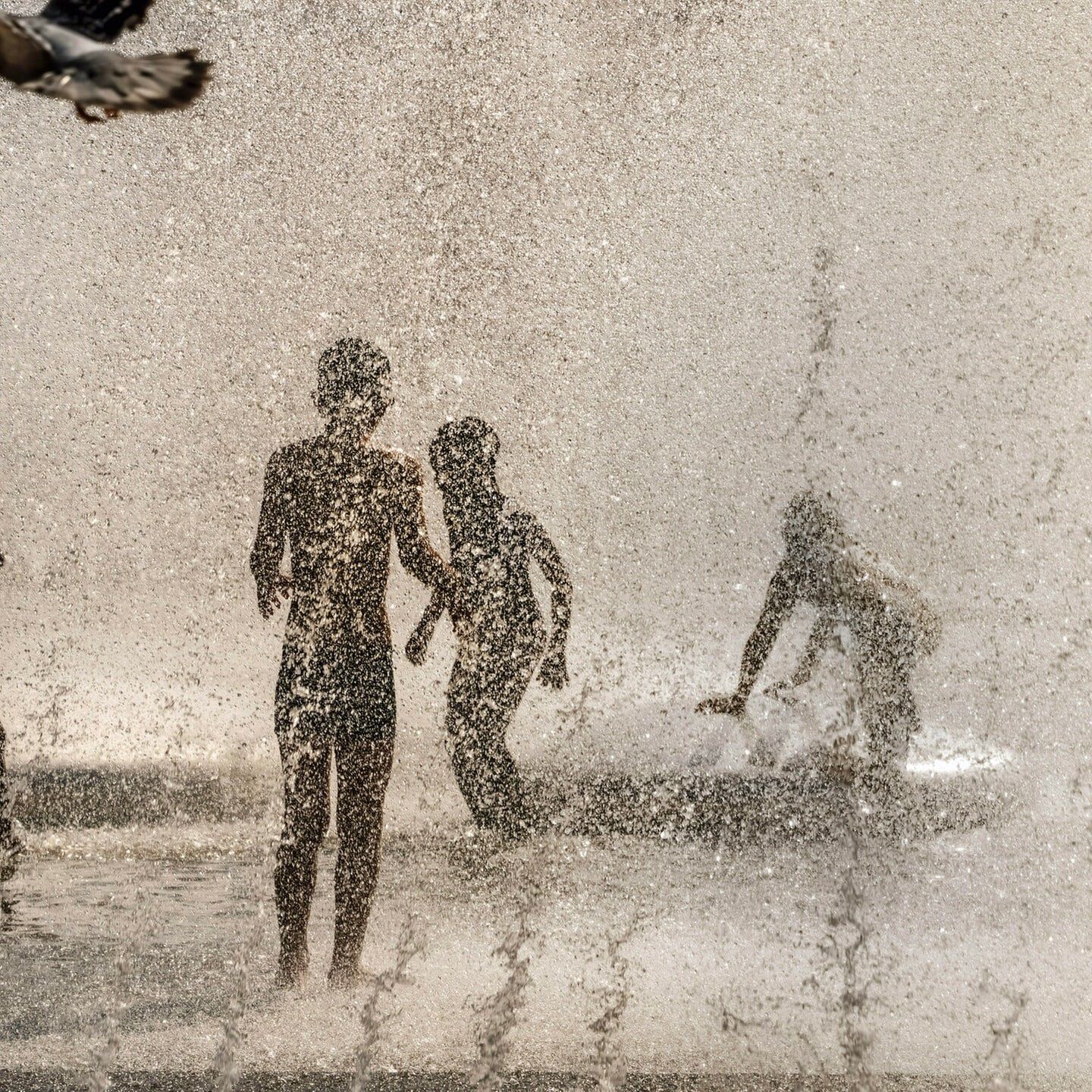 Anti-Hitze-Ideen für SWR3 Land