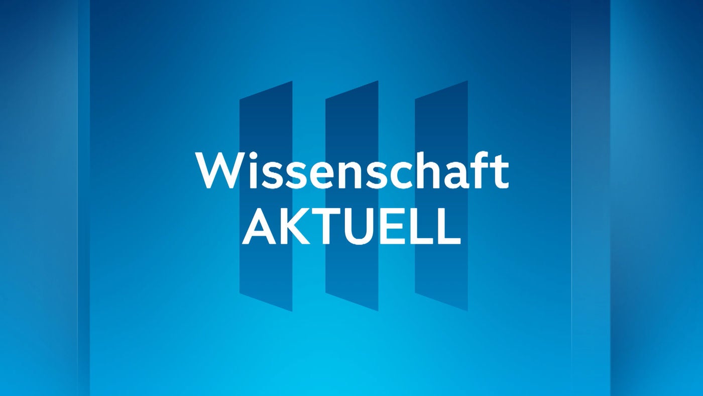 Der Traum vom Ewigen Leben: Longevity im Wissenschafts-Check