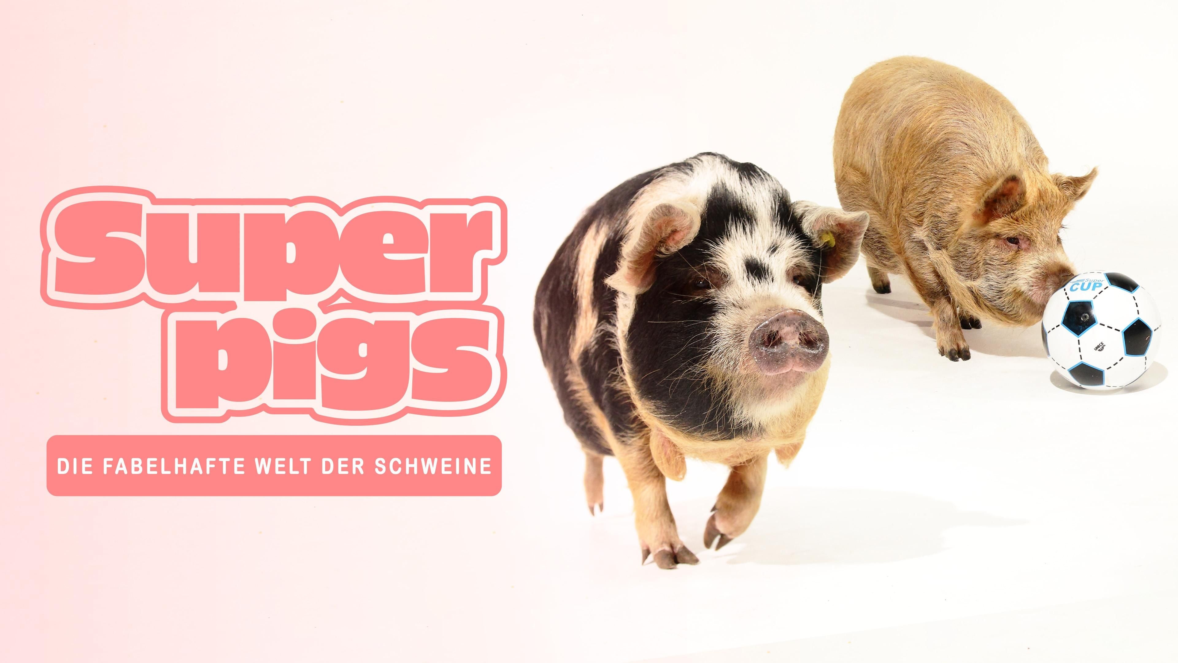Die fabelhafte Welt der Schweine