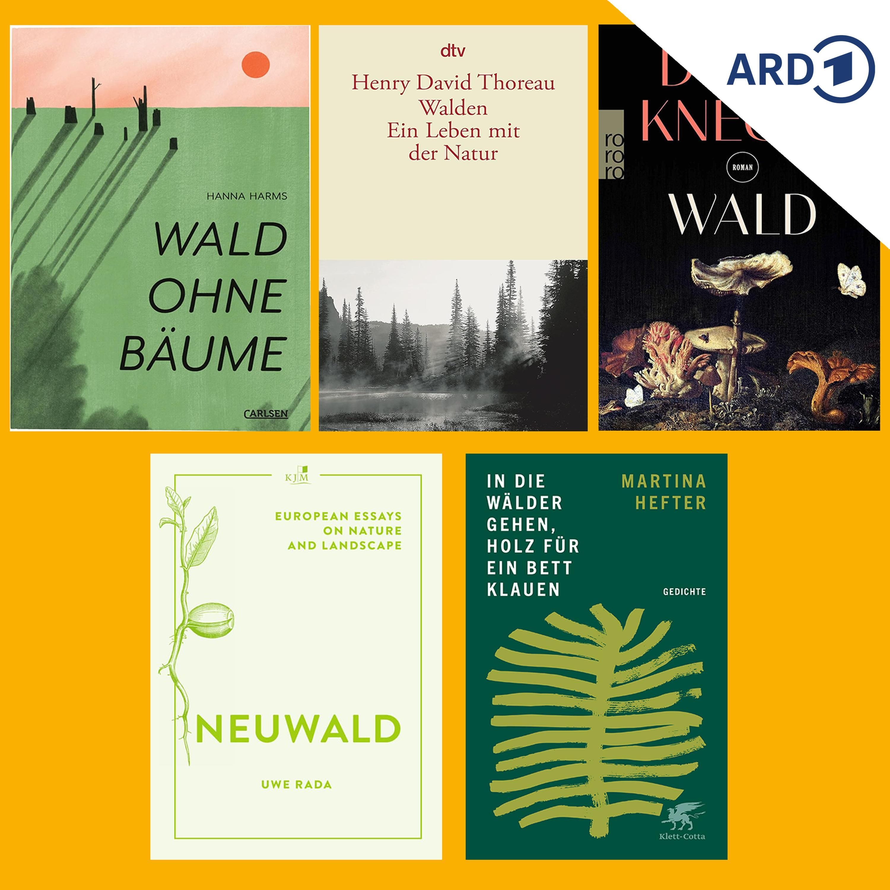 Fünf empfehlenswerte Bücher über den Wald