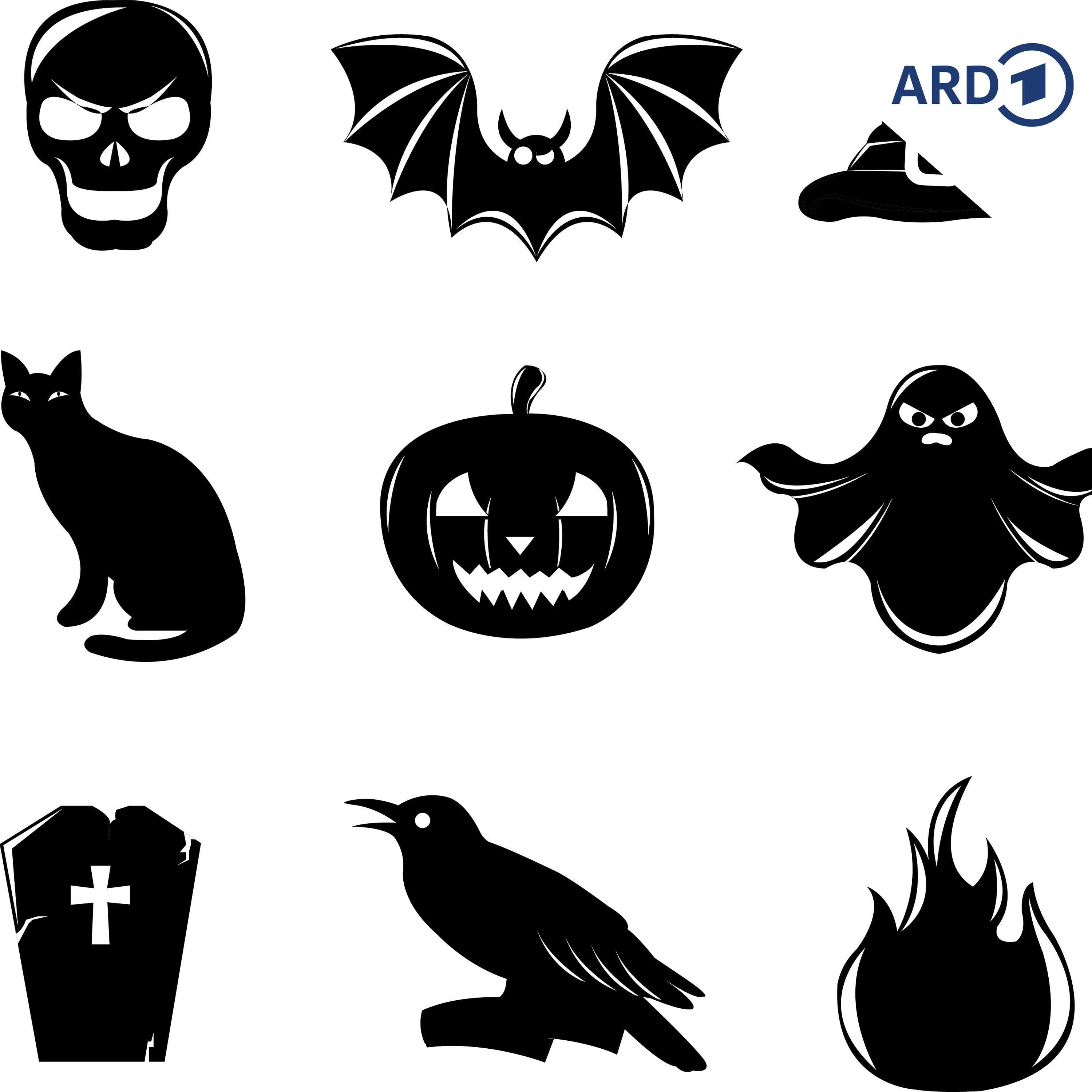 Monster – faszinierend fürchterlich!