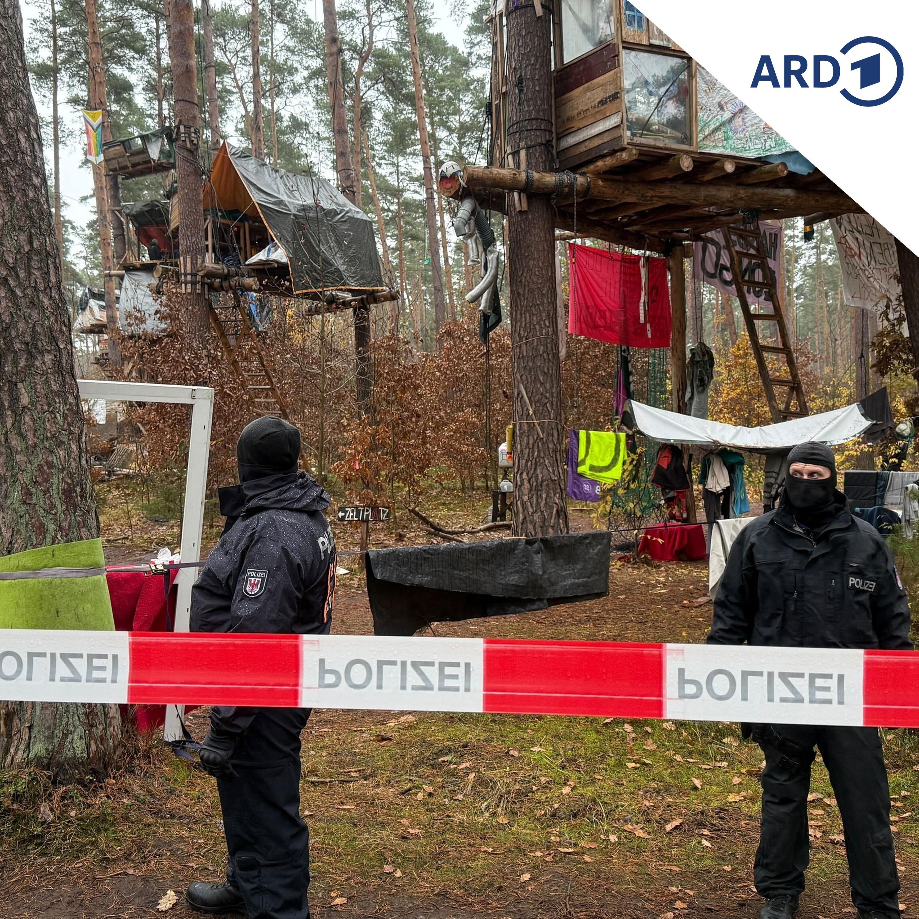 Baumklang – Protest in den Wipfeln