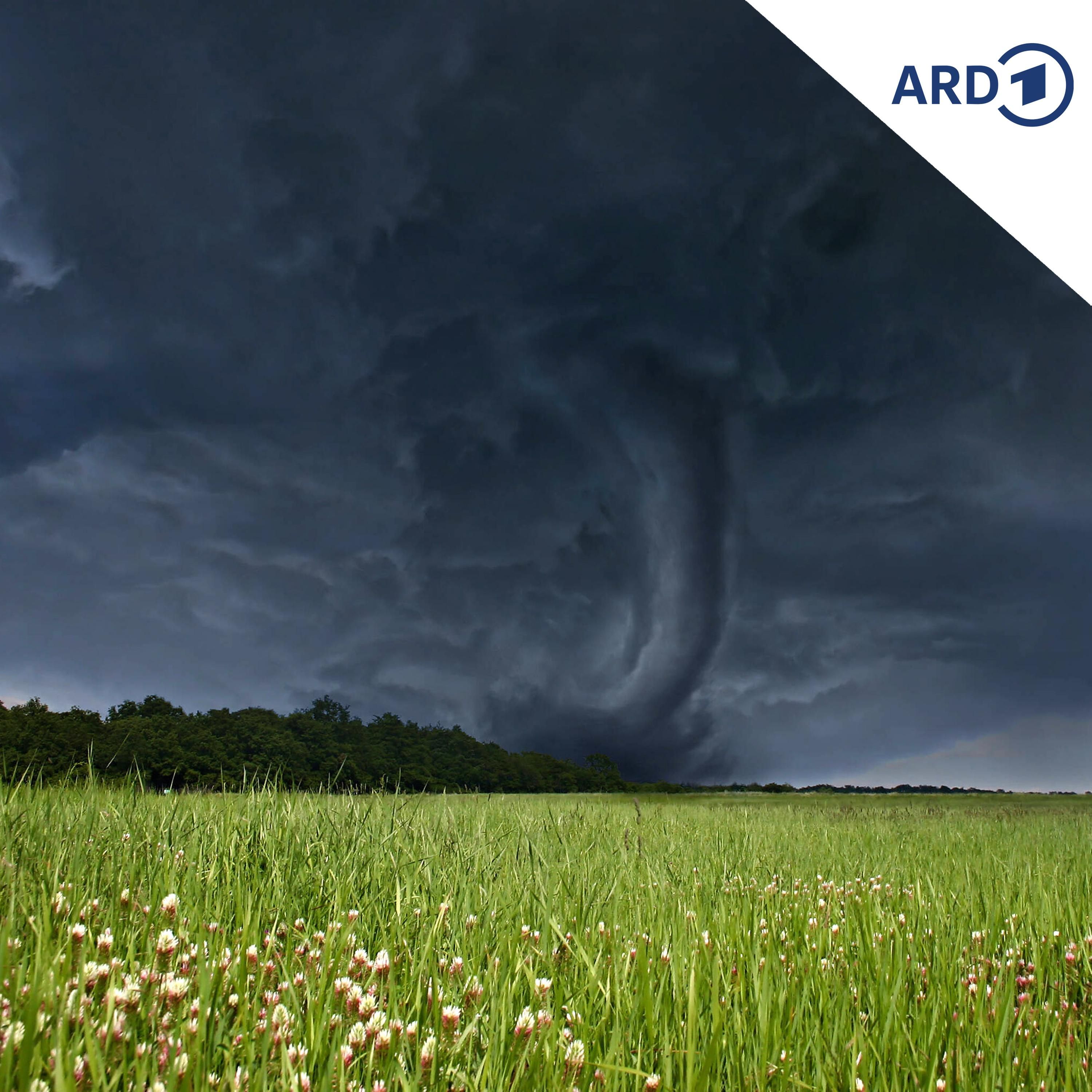 Wer den Wind sät