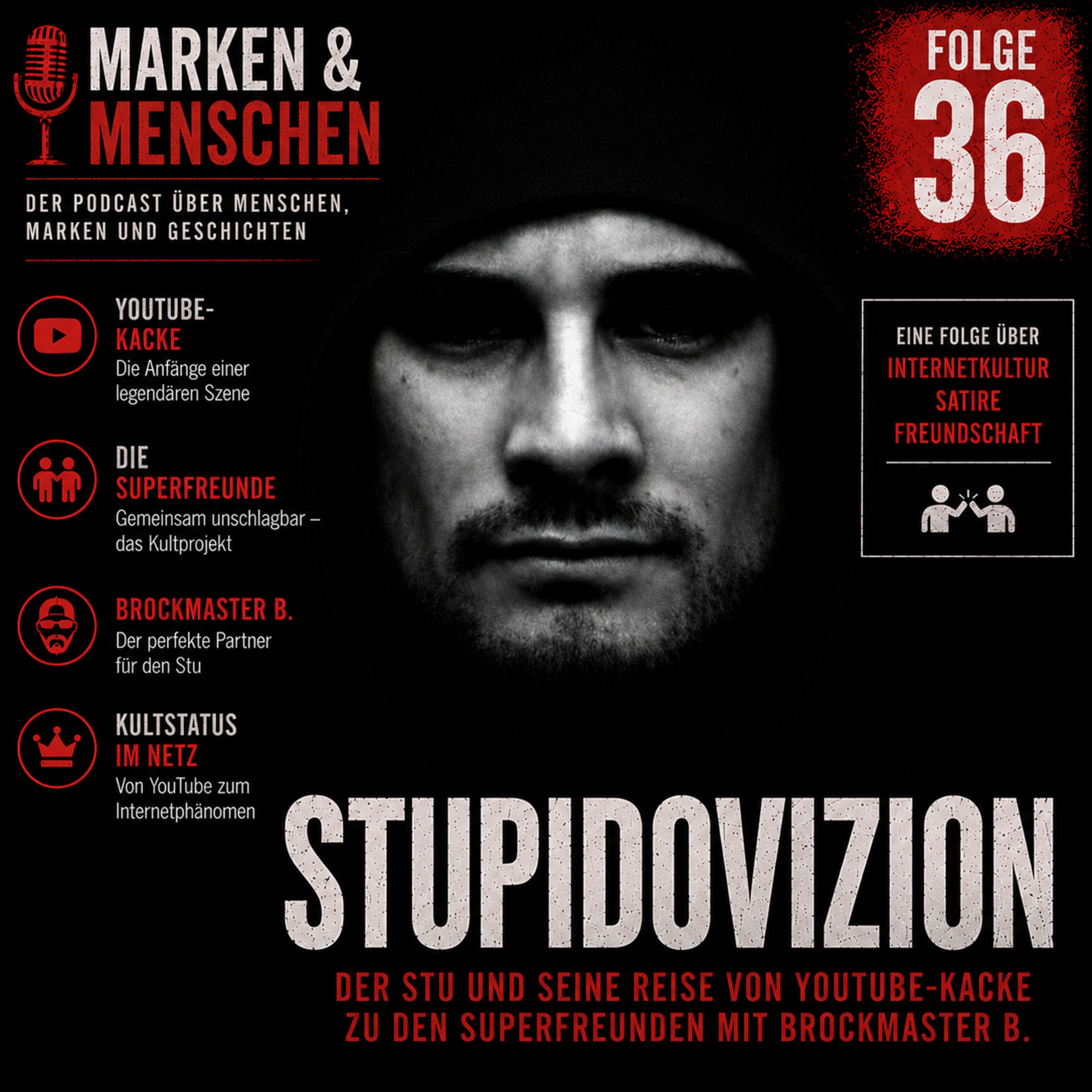 Stupidovizion
