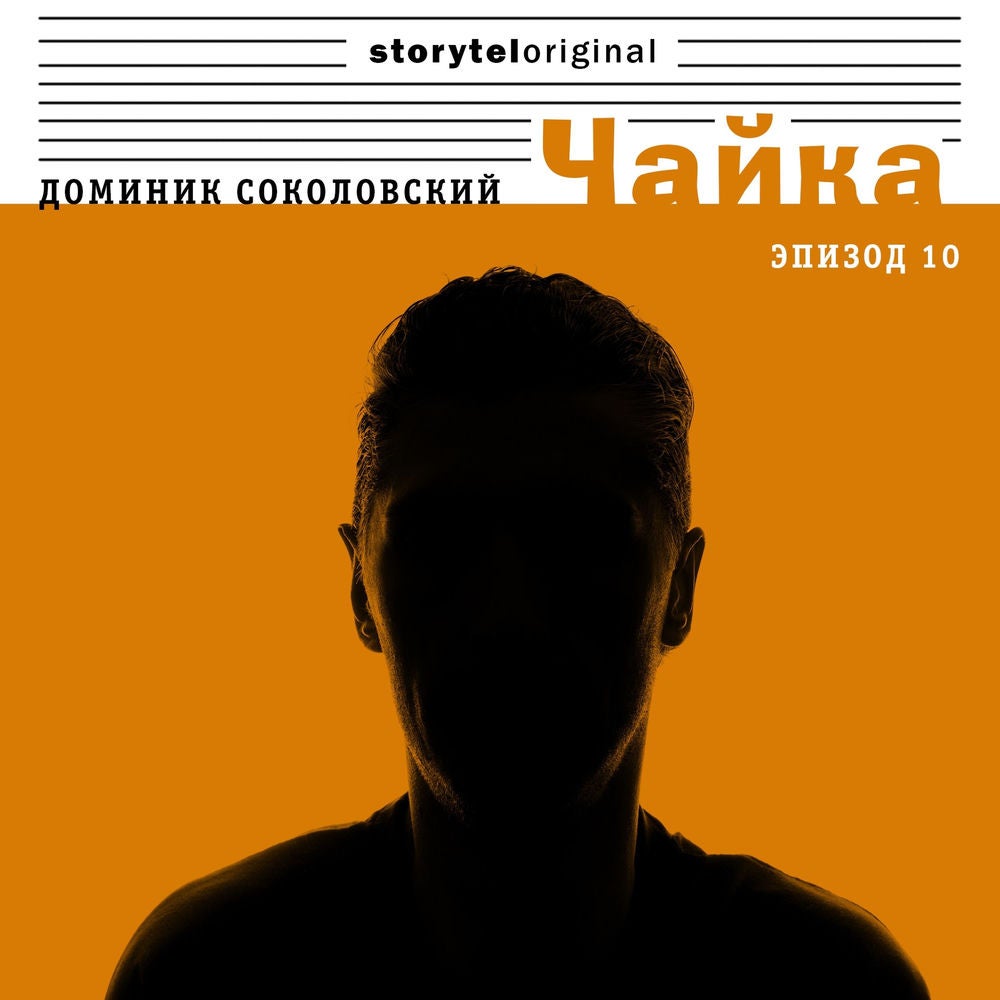 Чайка - Серия 10 - В блеске вспышек
