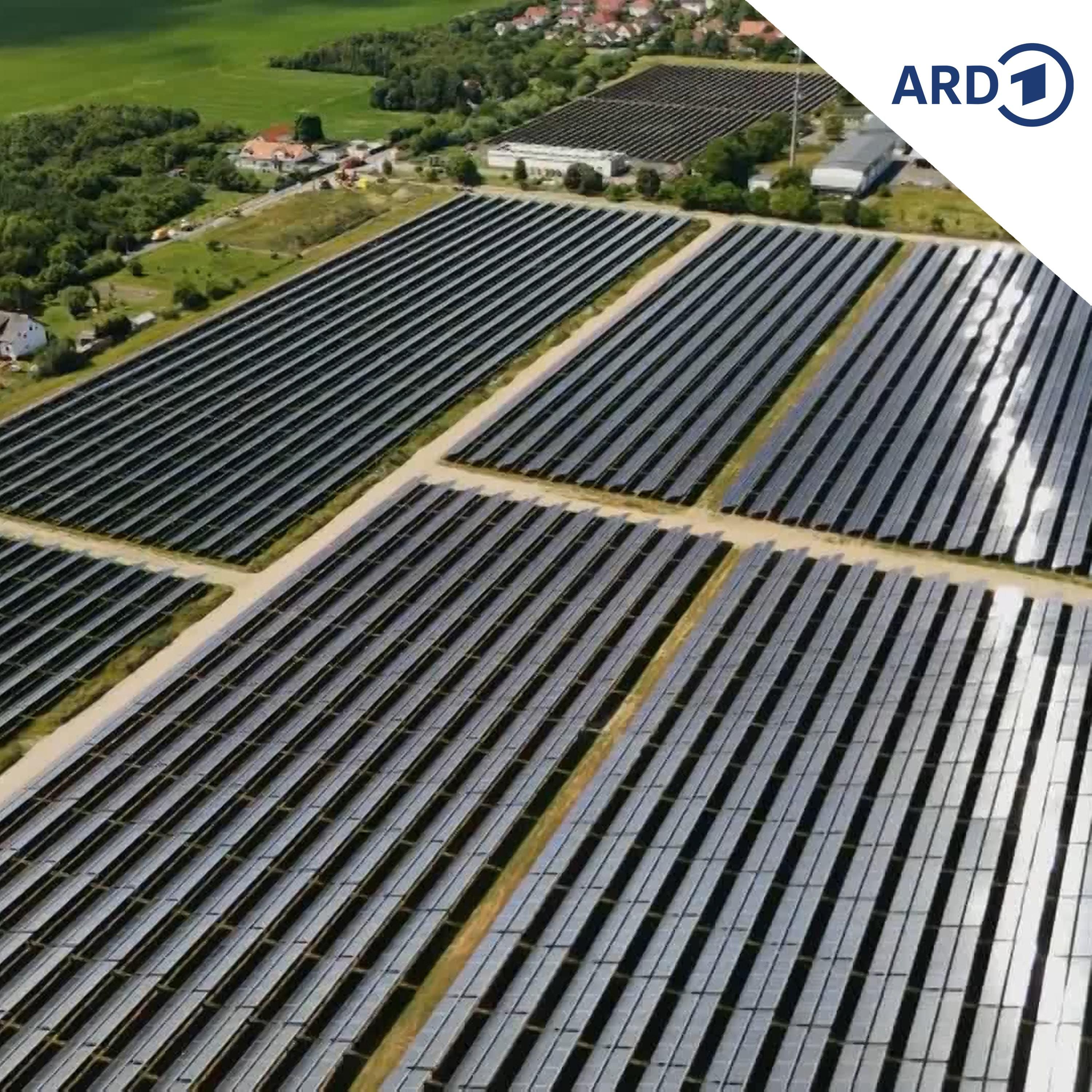 Deutschlands größte Solarthermie-Anlage eröffnet