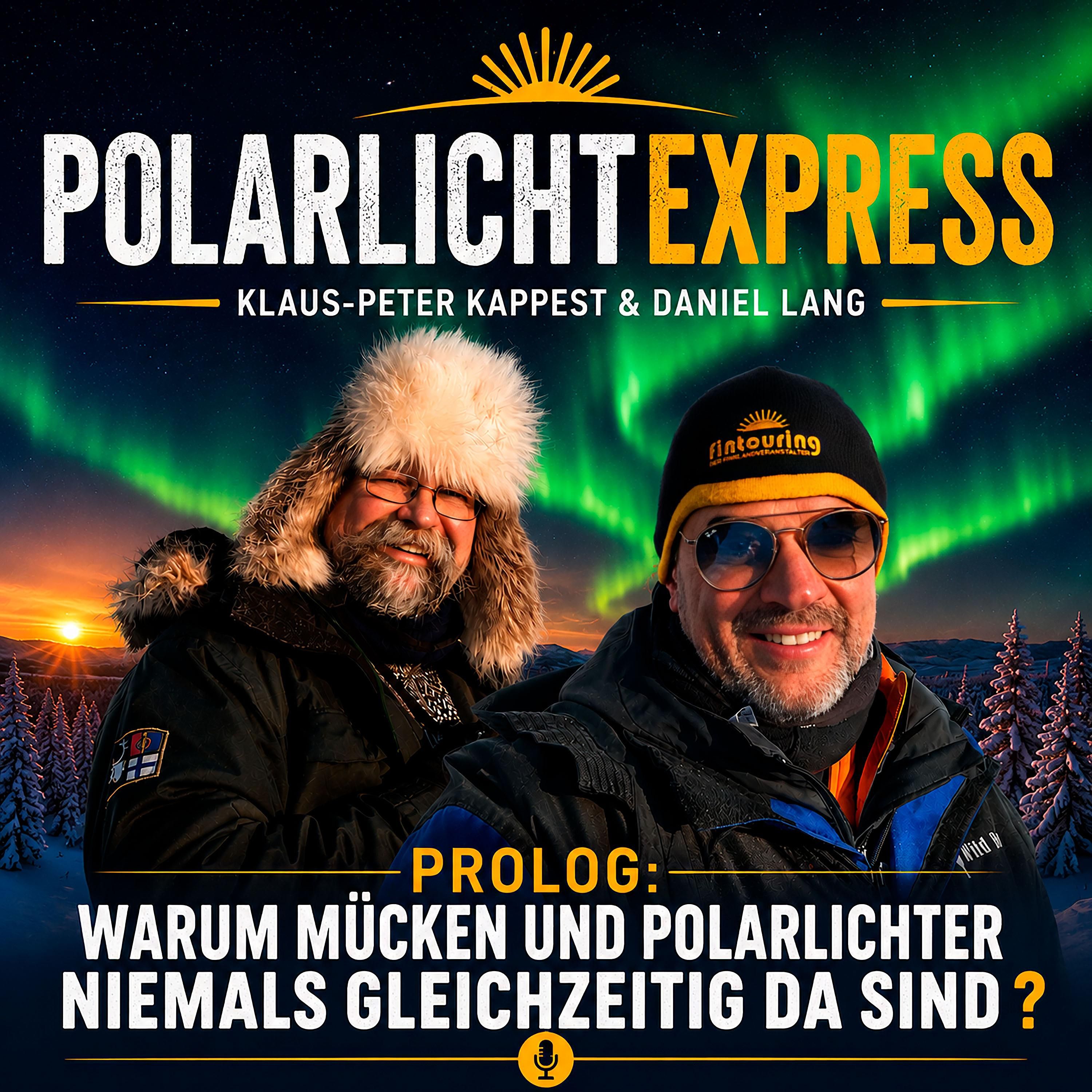Warum Mücken und Polarlichter niemals gleichzeitig da sind