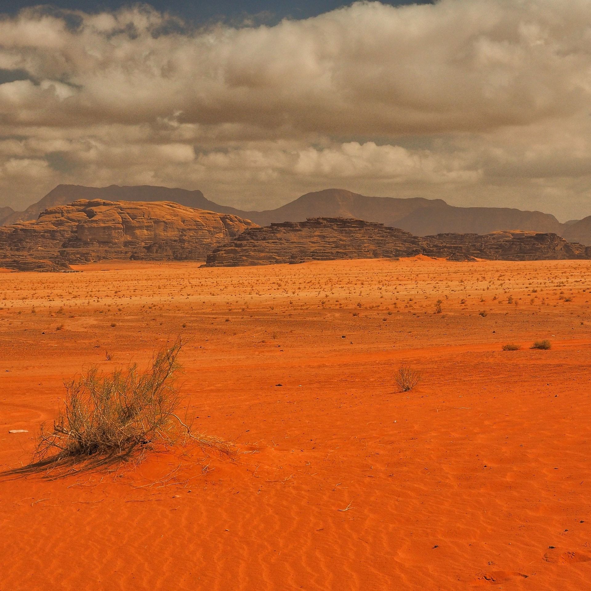 Internationaler Tag gegen Wüstenbildung: Frauen in Jordanien kämpfen gegen die Wüste