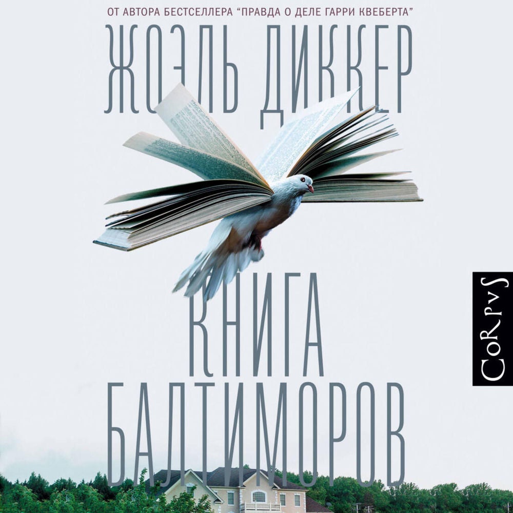 Книга Балтиморов