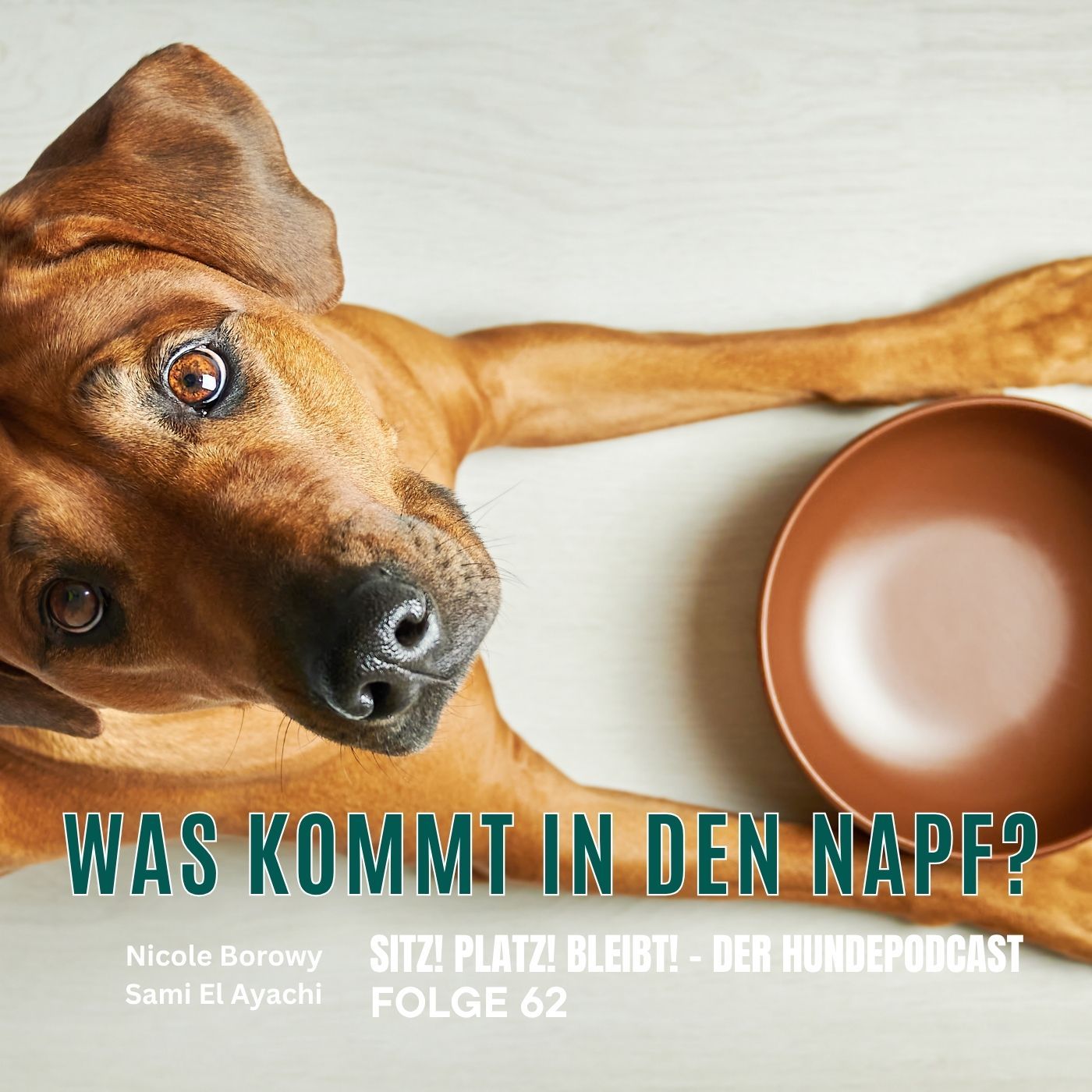 #62 Was kommt in den Napf? Zwischen BARF, Dose und Trockenfutter