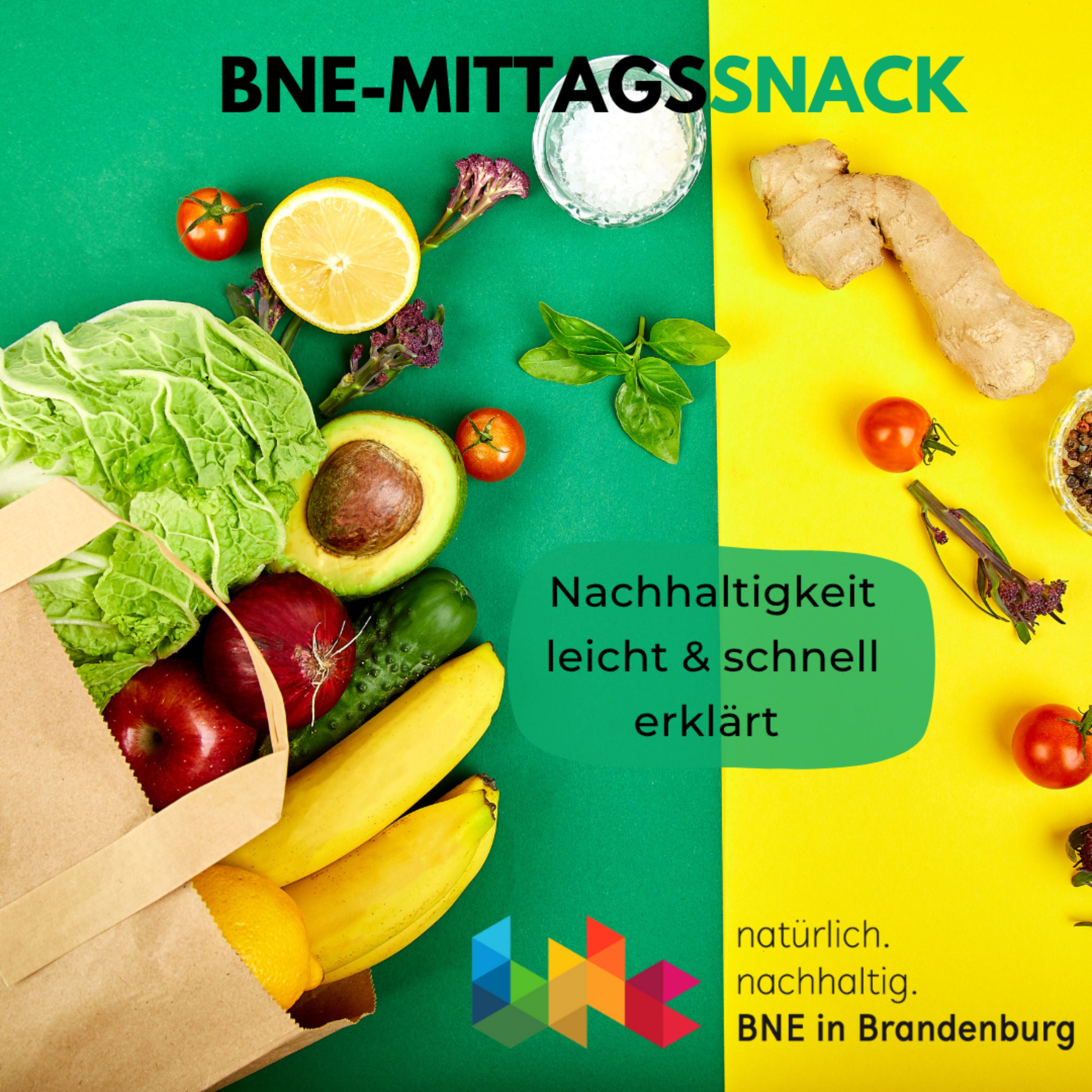 Ein Jahr im Review: Best of 2023 mit Wasserknappheit, Aralsee und Kapitalismuskritik
