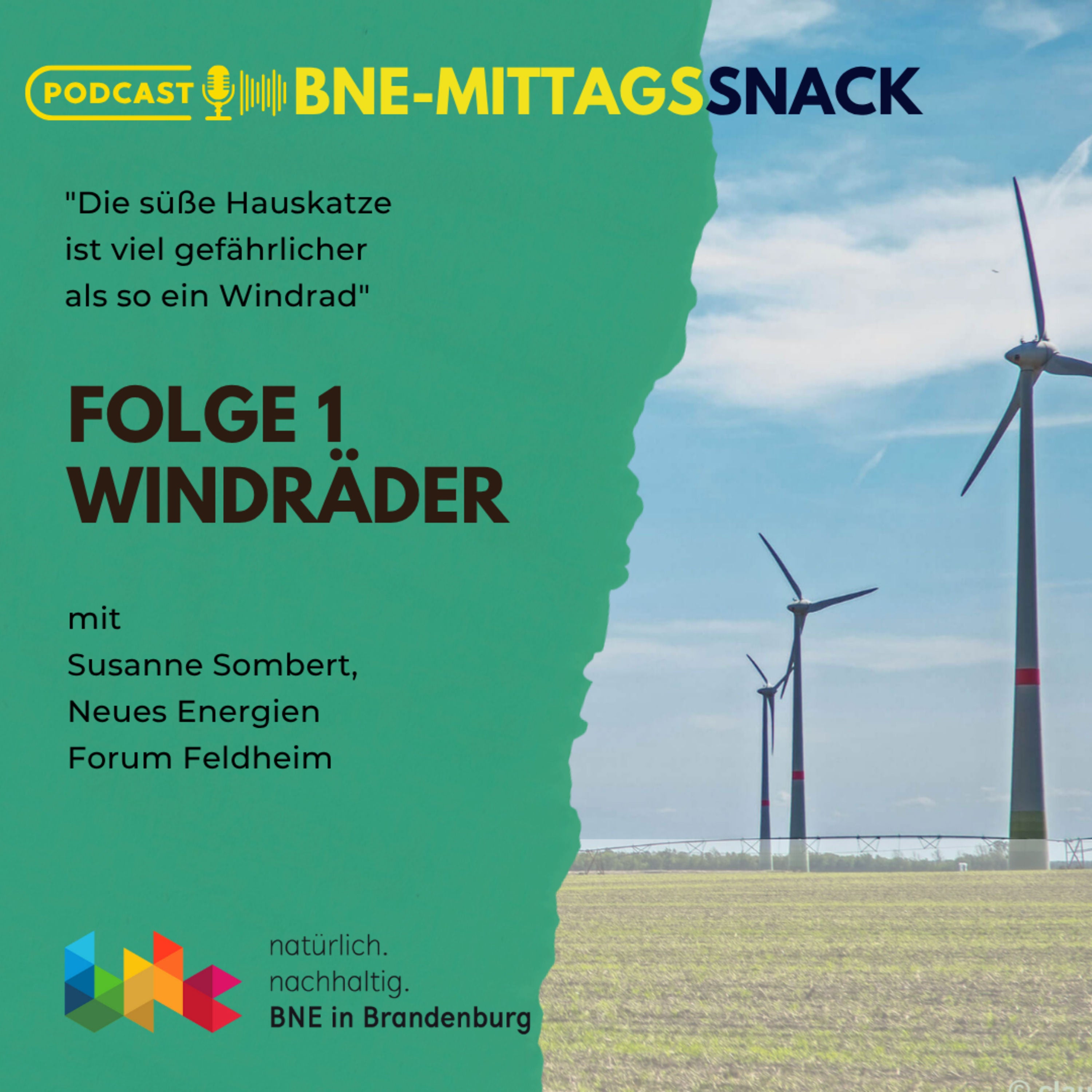 Windräder vs. Hauskatzen - Wer ist gefährlicher?