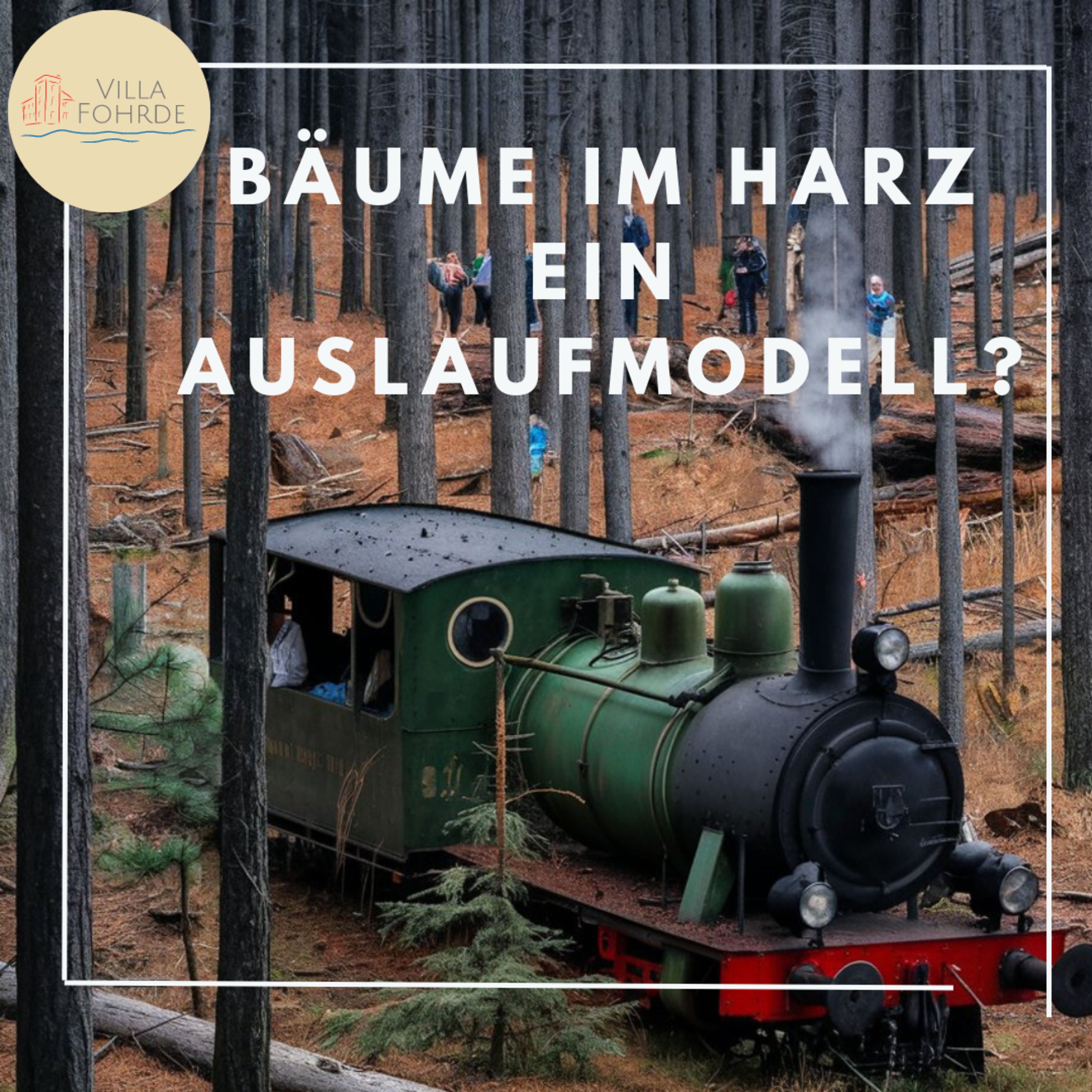 Bäume im Harz. Ein Auslaufmodell? Naturpark, nachhaltiger Tourismus, Ranger, Brocken und Dampflok