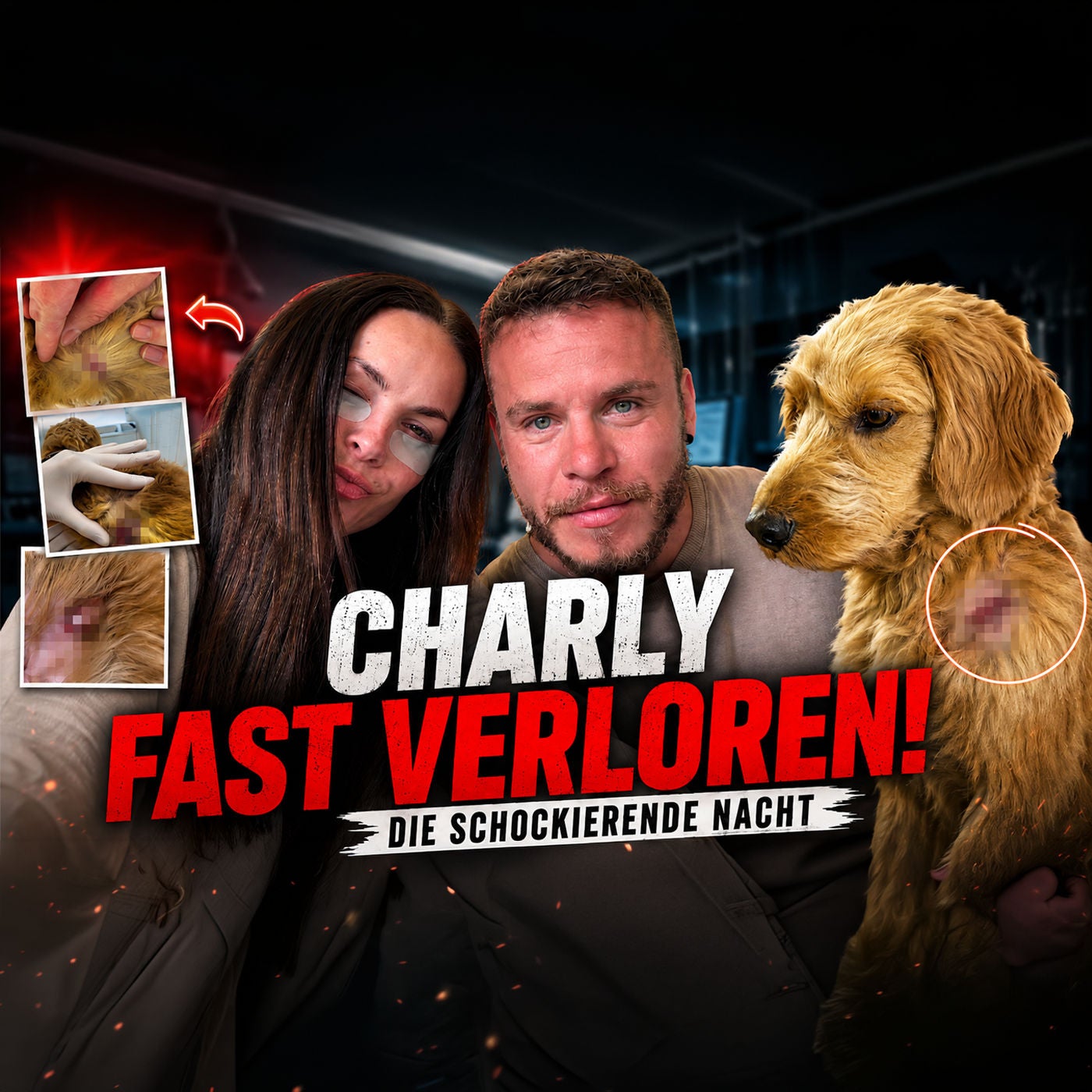 Charlie wurde VERLETZT! Unser ERLEBNIS UNGEFILTERT!