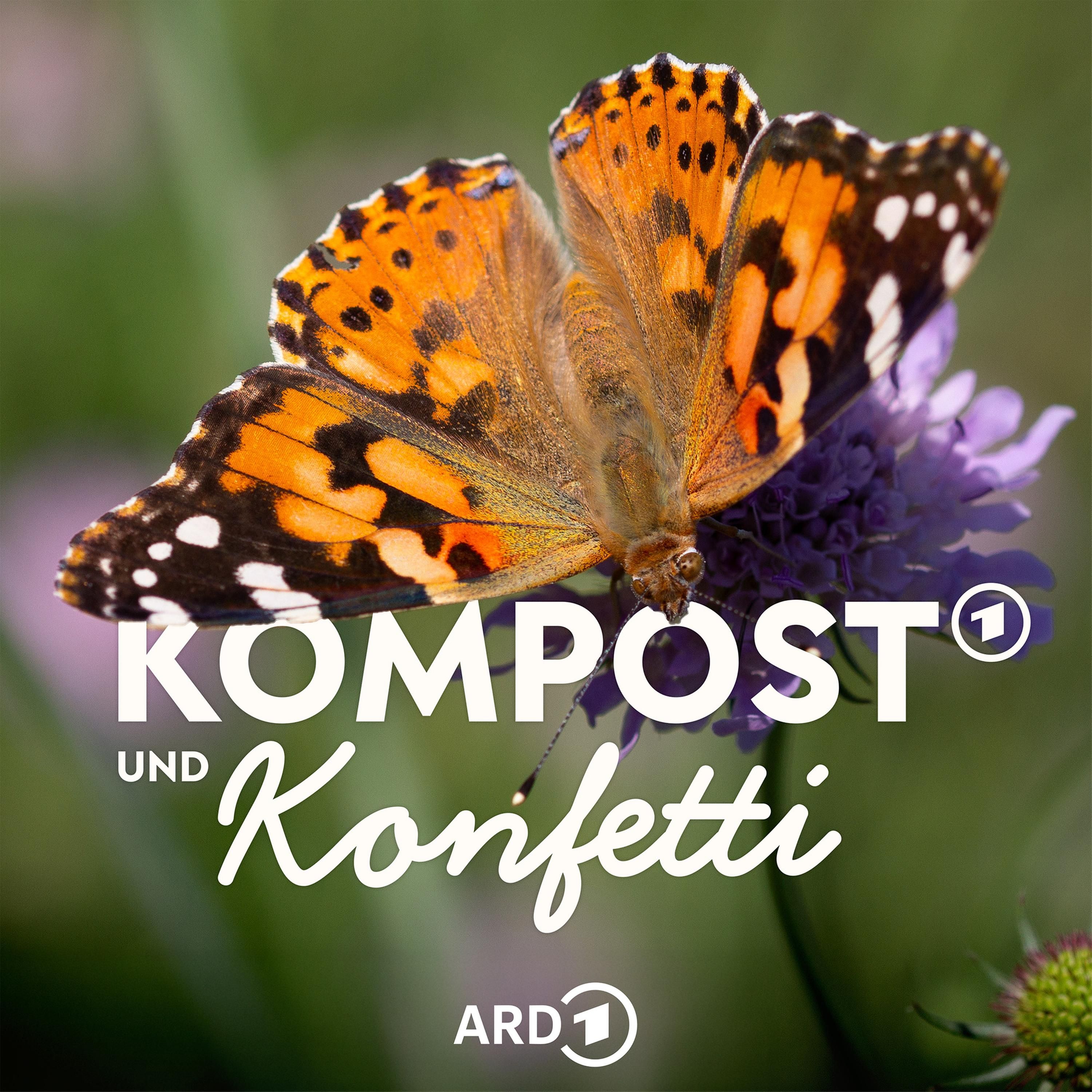Muss das weg? Giftpflanzen im Garten
