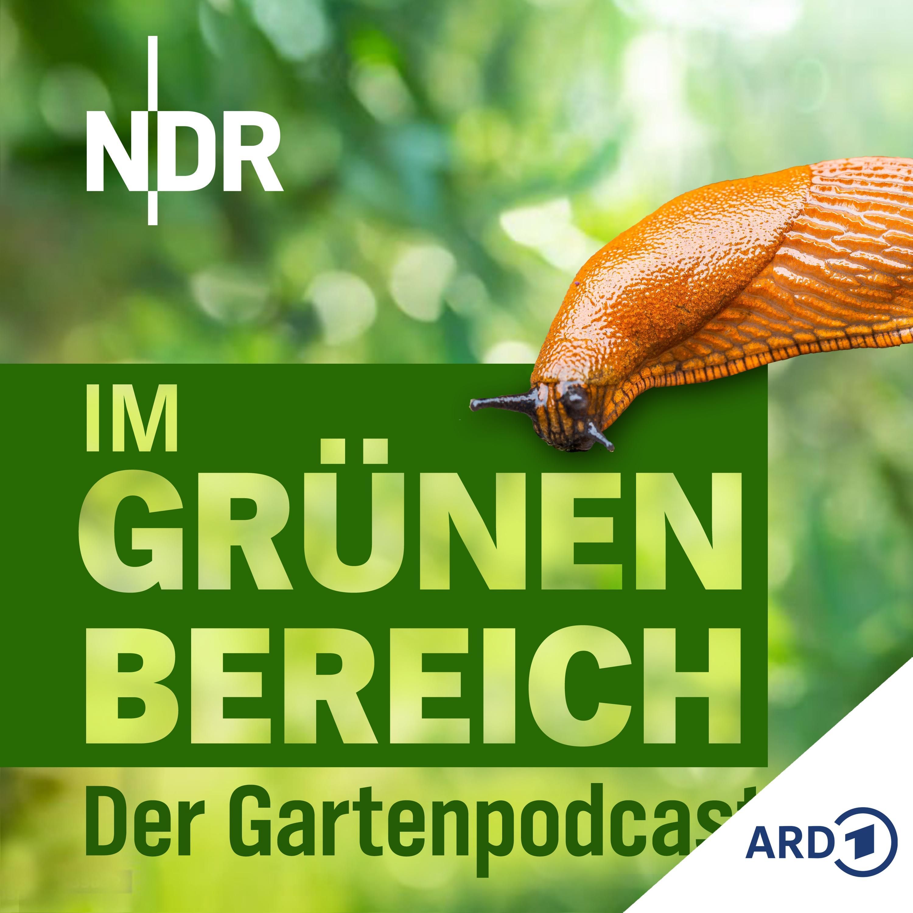 Nacktschnecken im Garten bekämpfen: Welche Methode hilft?