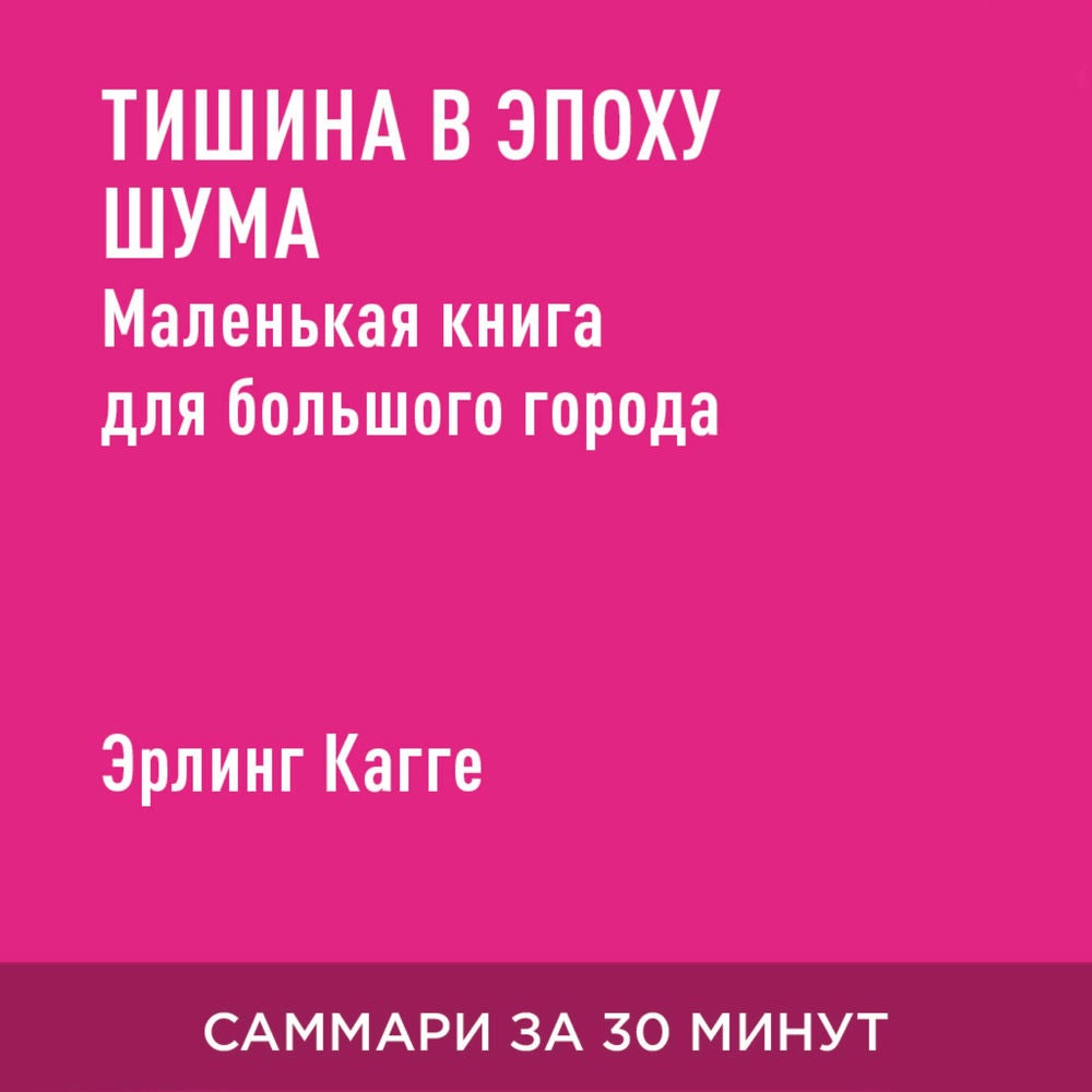 Тишина в эпоху шума. Маленькая книга для большого города (краткое изложение)
