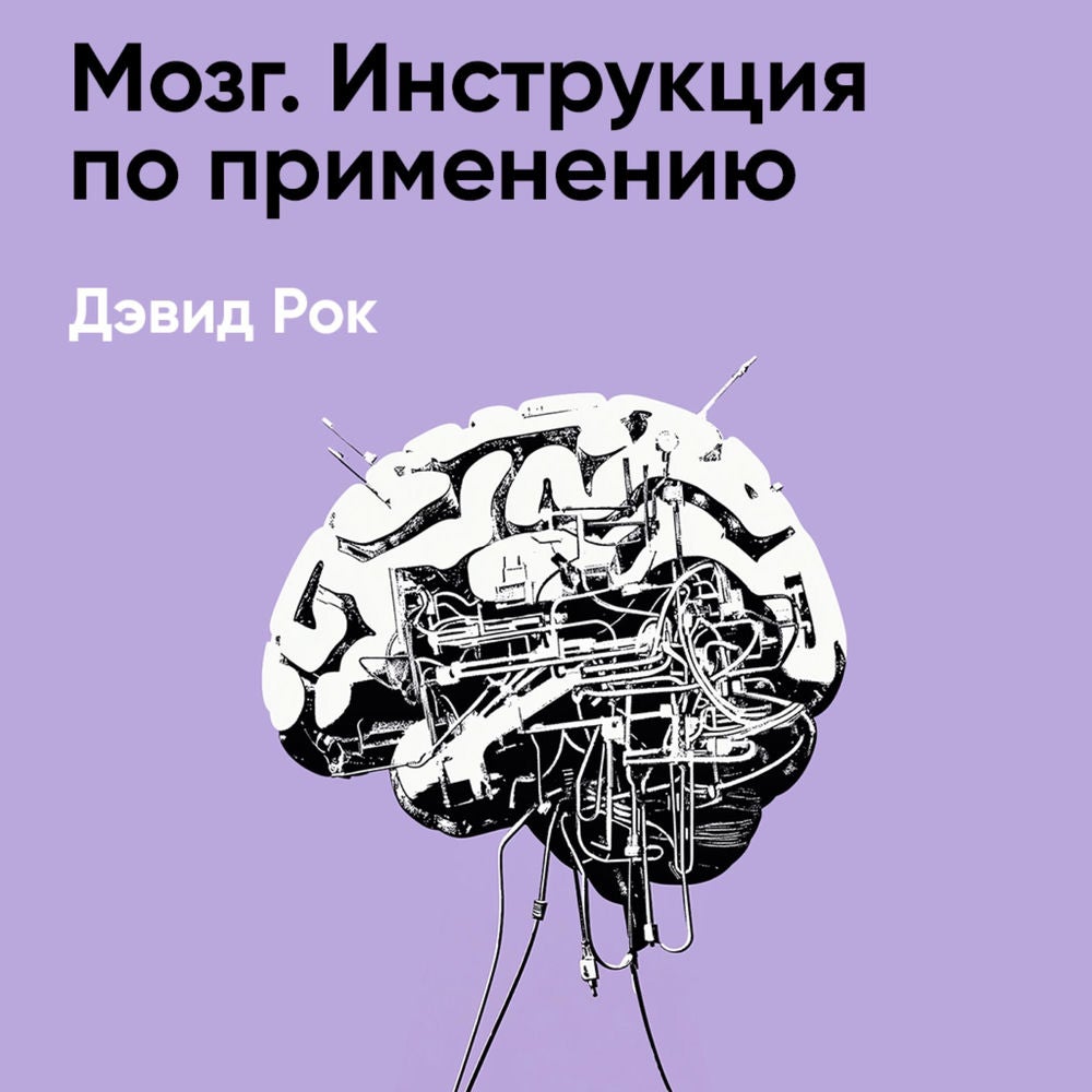 Мозг. Инструкция по применению: как использовать свои возможности по максимуму и без перегрузок (краткое изложение)
