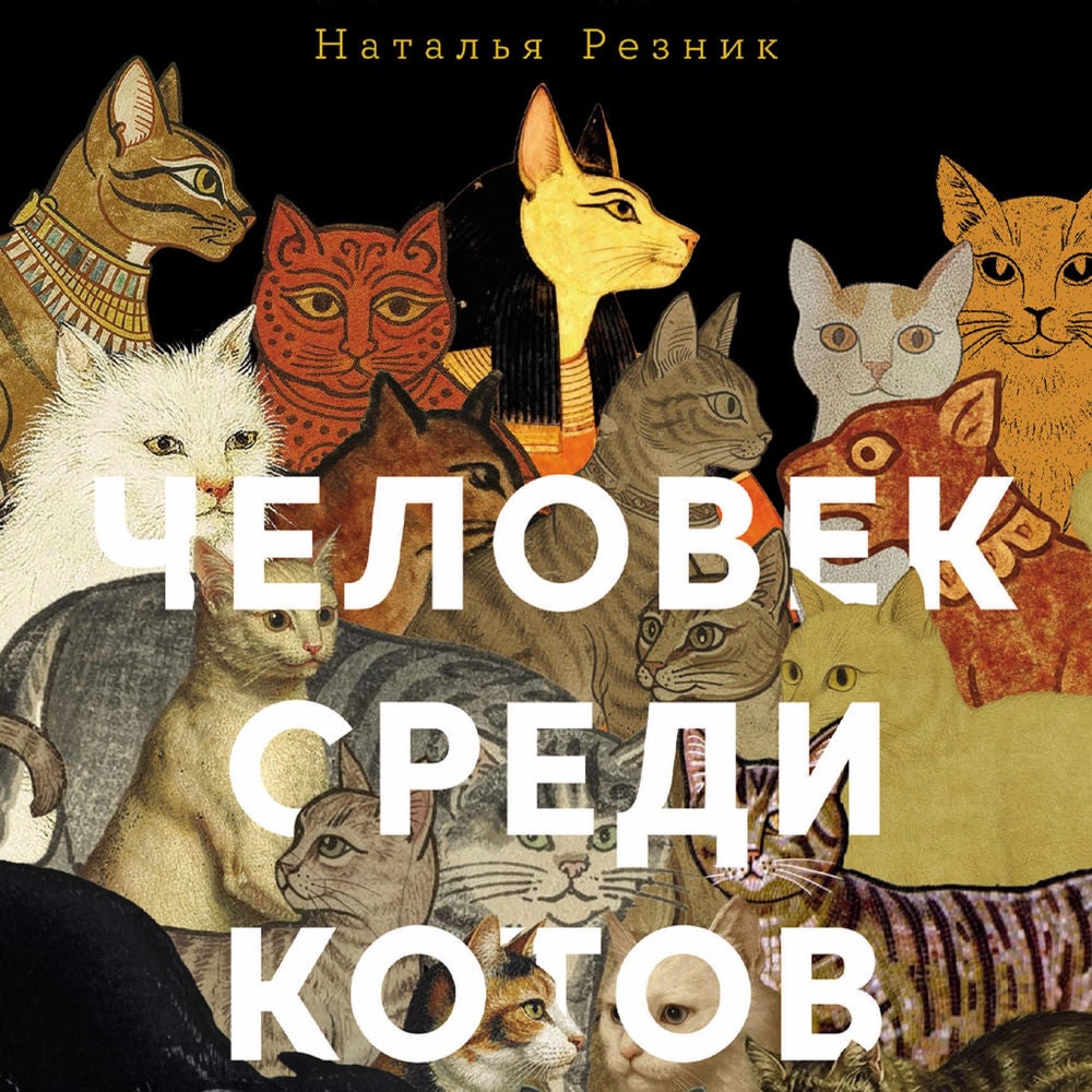 Человек среди котов