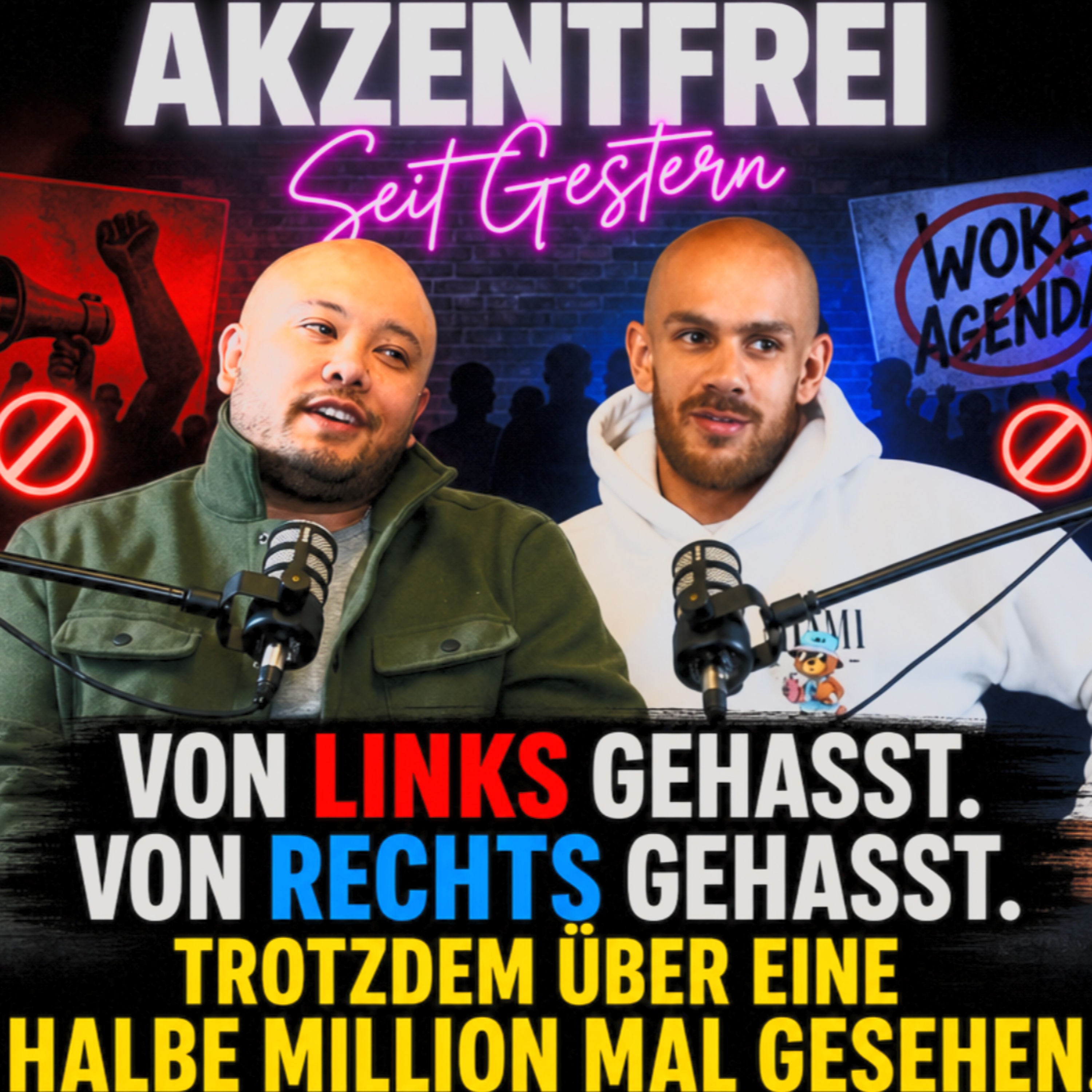 Von Links gehasst. Von Rechts gehasst. Trotzdem über eine halbe Million Mal gesehen Folge 39
